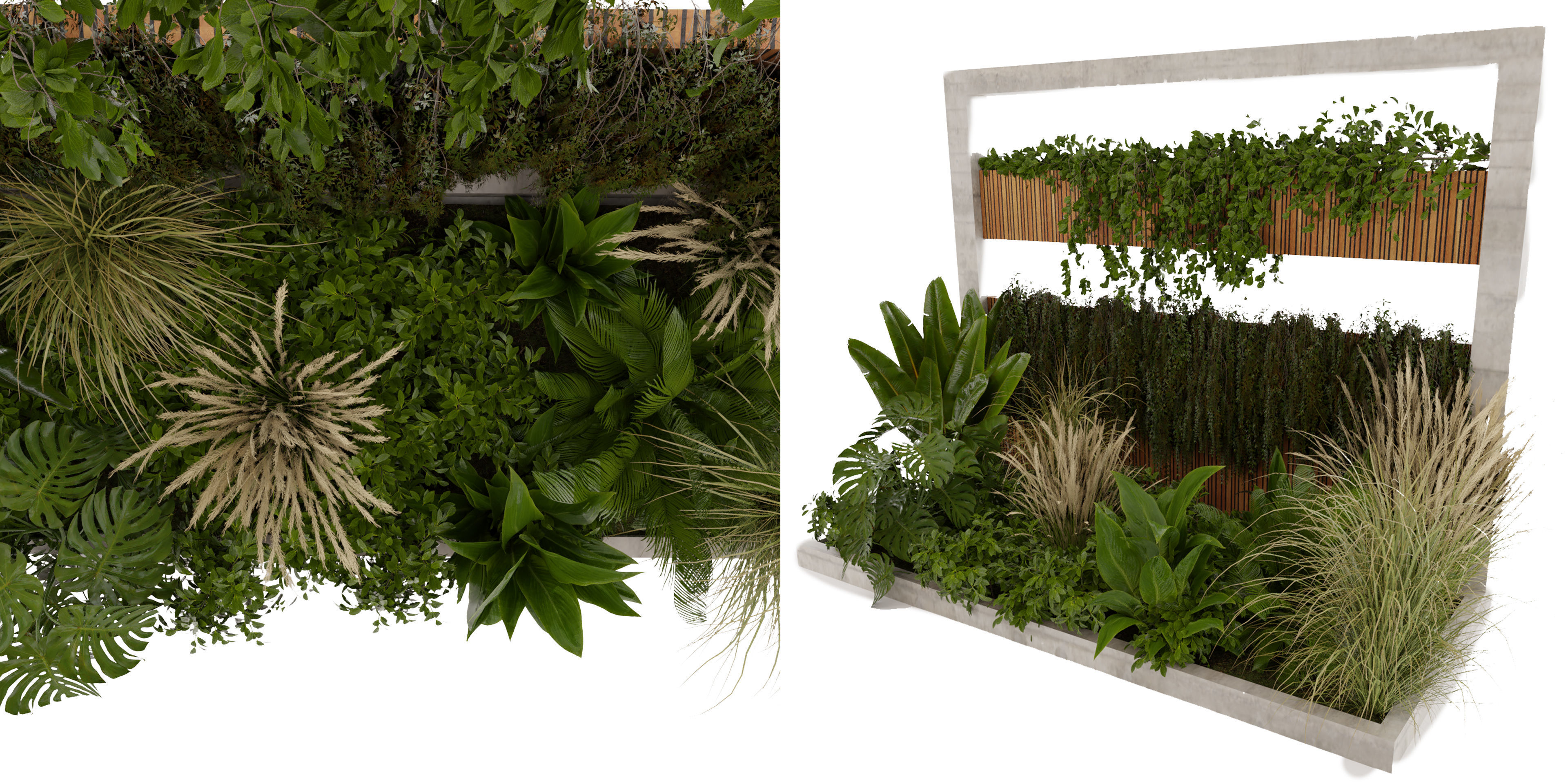 Collection plant vol 484 - garden - palm - blender model 3D model_3