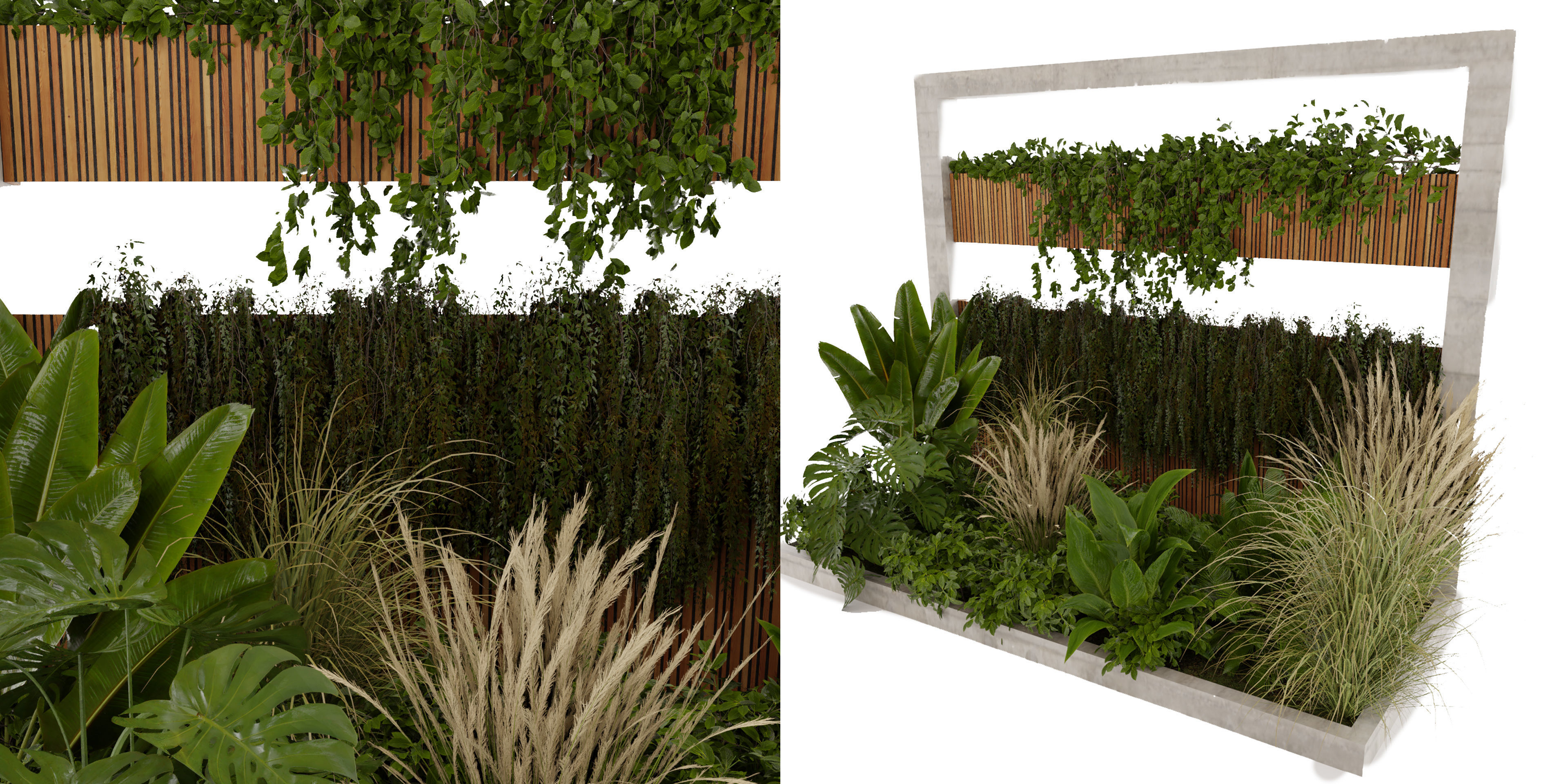 Collection plant vol 484 - garden - palm - blender model 3D model_1