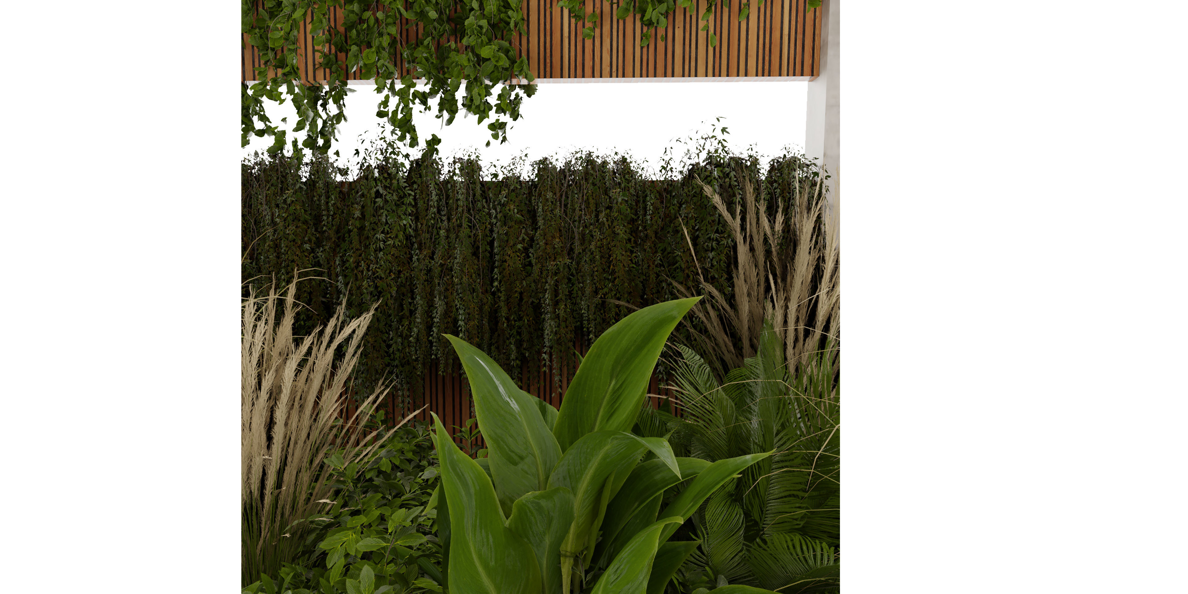 Collection plant vol 484 - garden - palm - blender model 3D model_2