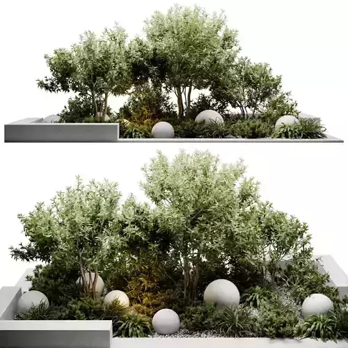 Outdoor Plants 3D model