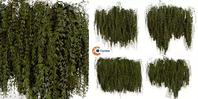 Collection plant vol 486 - outdoor - leaf - ivy - blender model 3D model