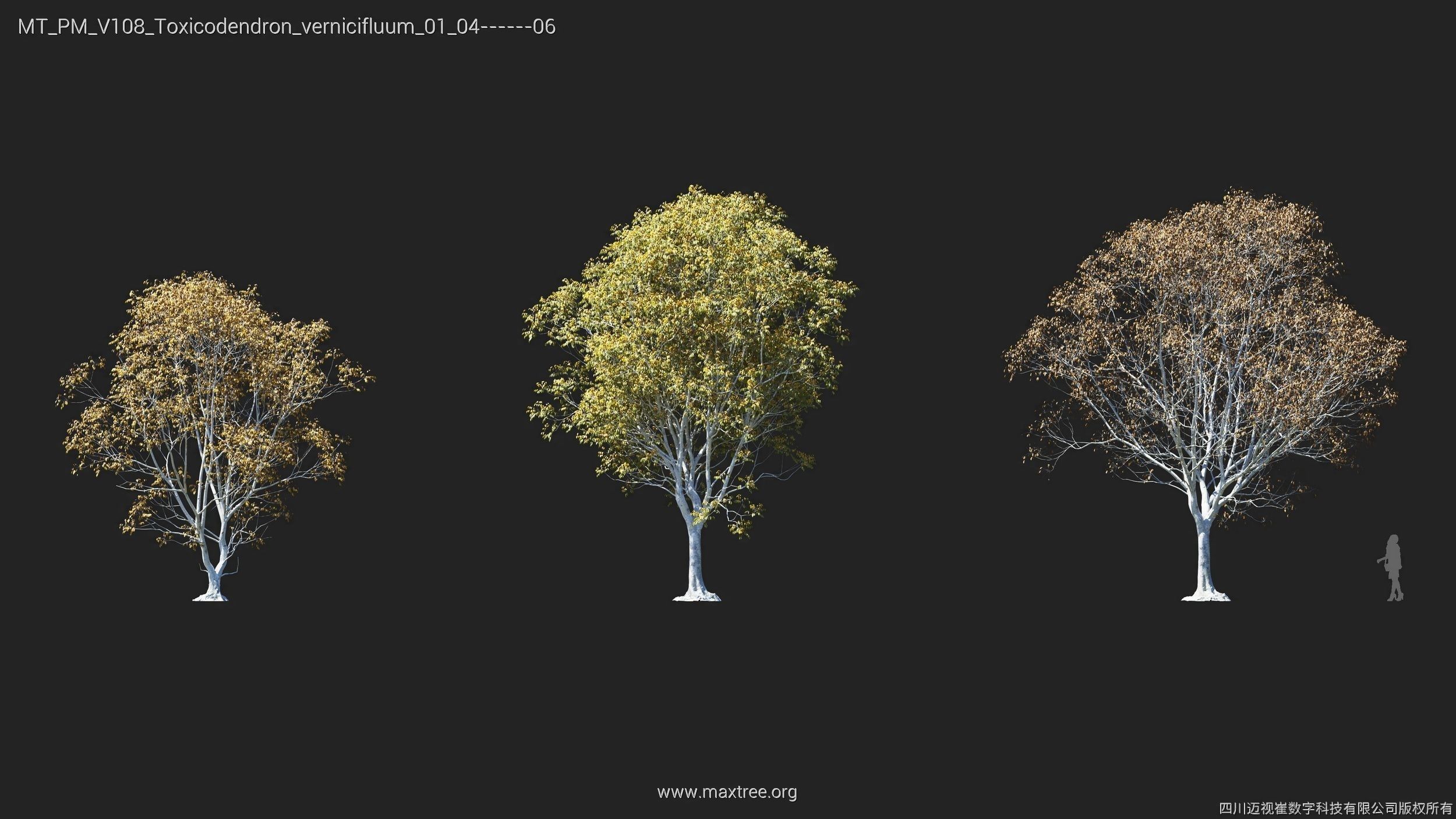 Maxtree Plant Models Vol 108 - Mesh 3D model_9