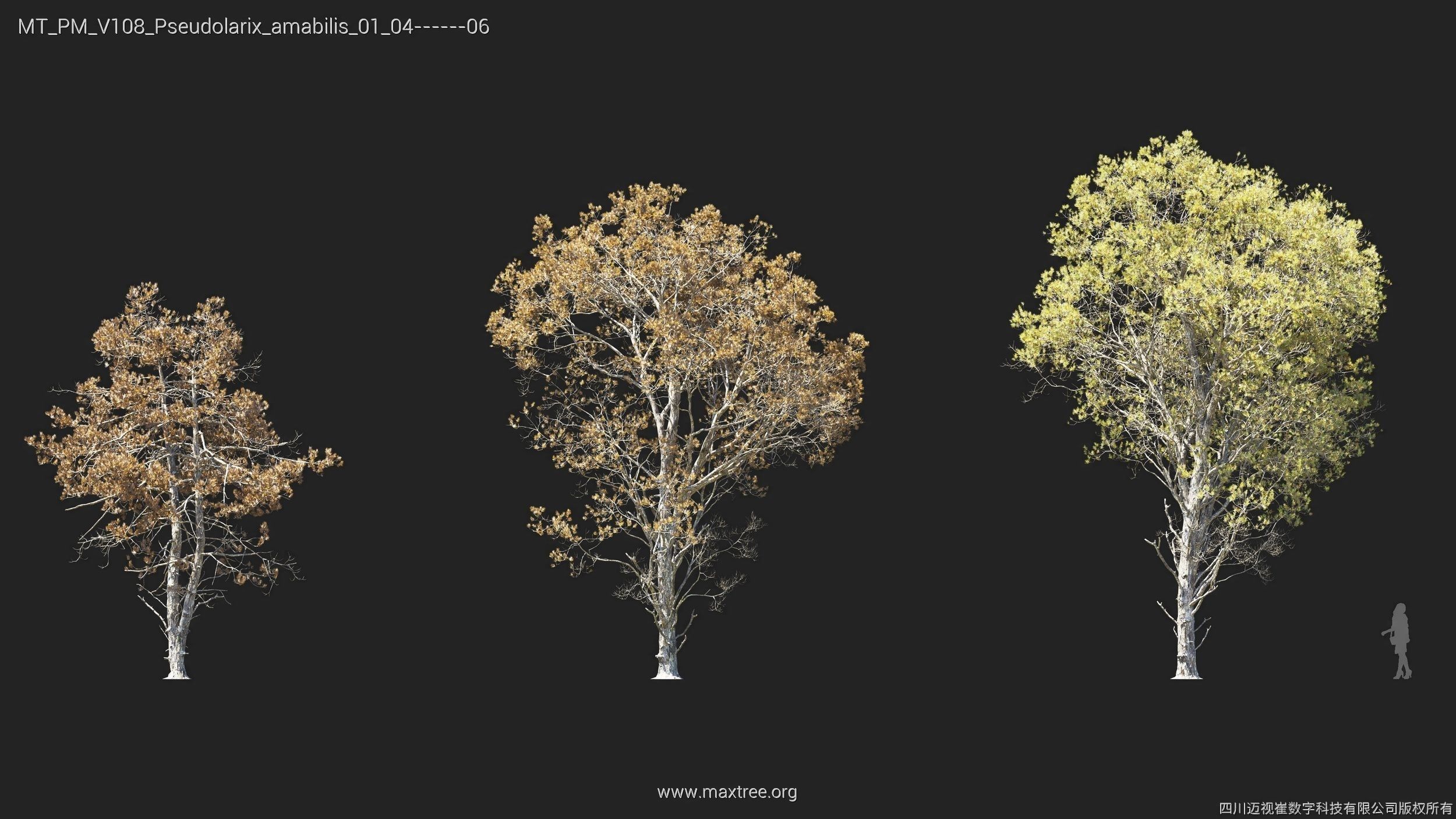 Maxtree Plant Models Vol 108 - Mesh 3D model_25