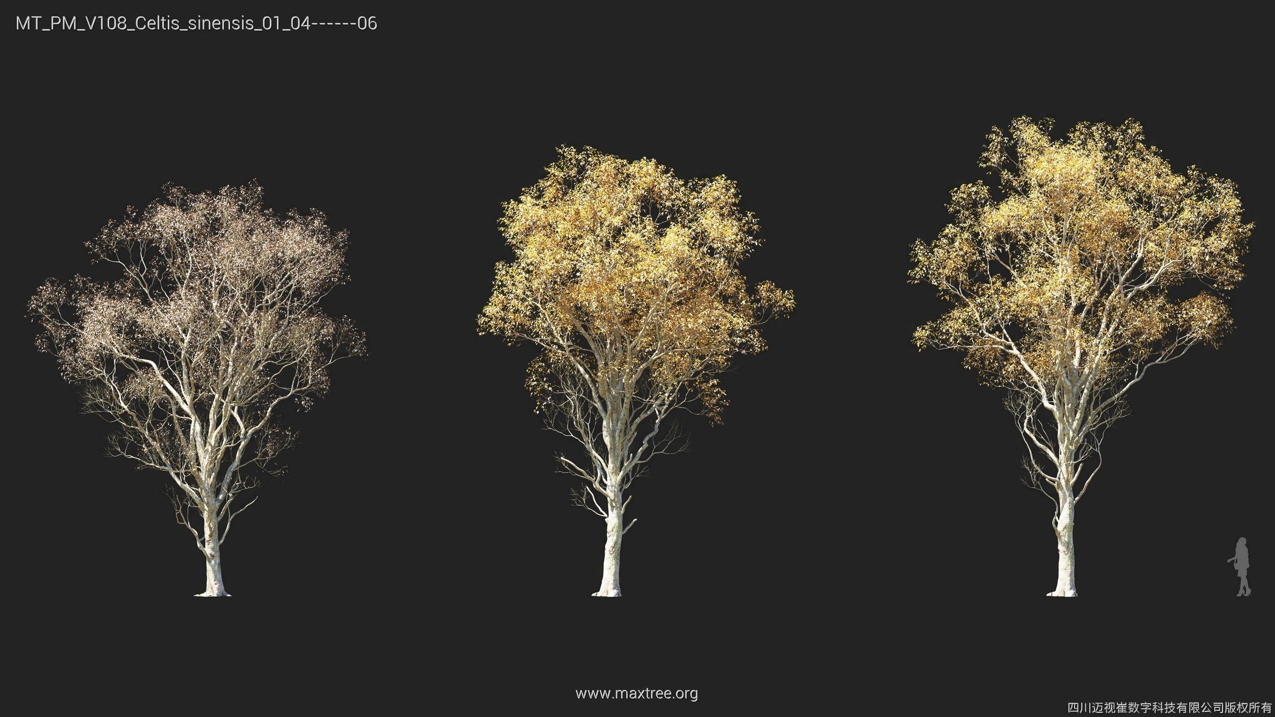 Maxtree Plant Models Vol 108 - Mesh 3D model_27