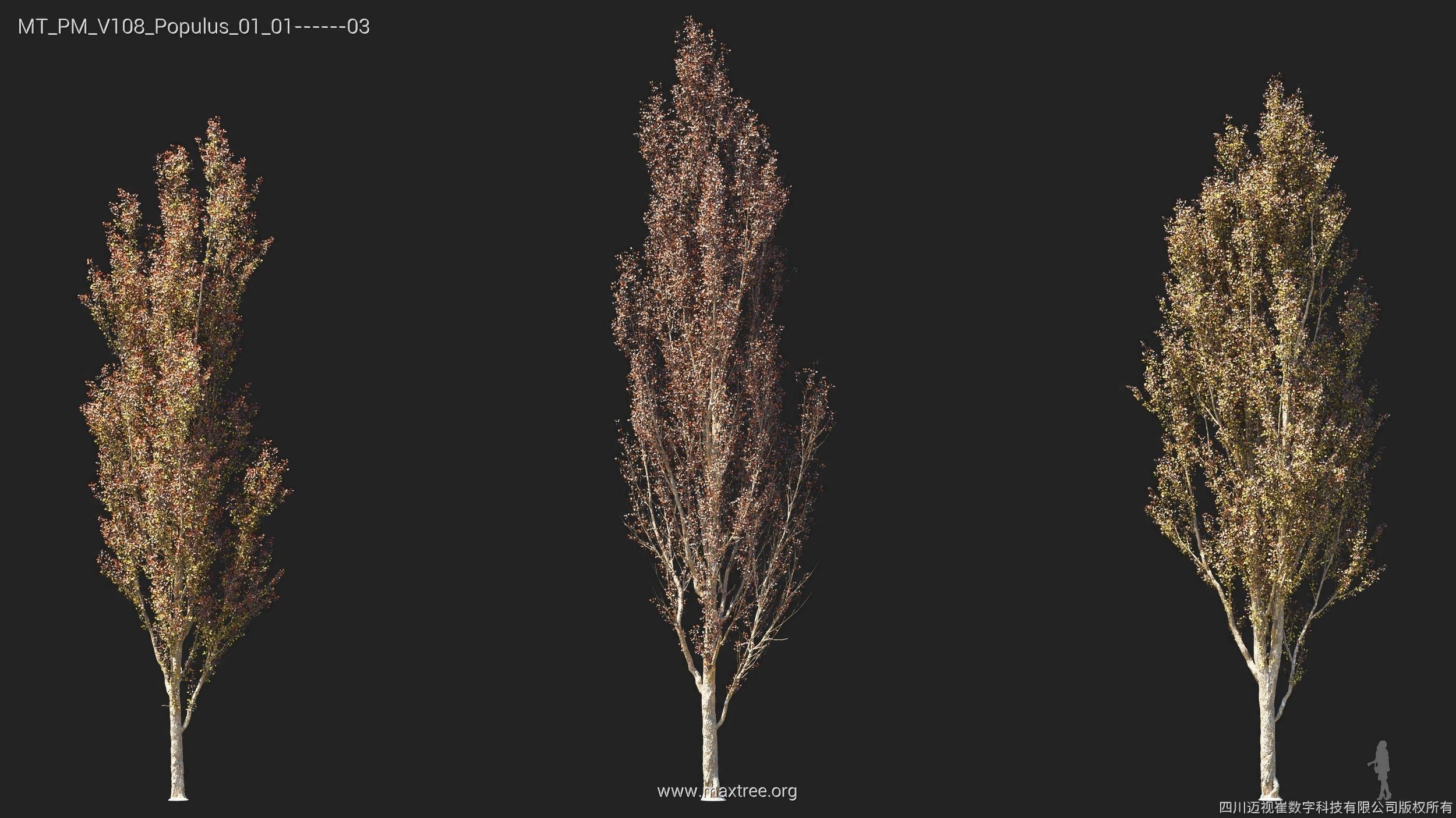 Maxtree Plant Models Vol 108 - Mesh 3D model_22