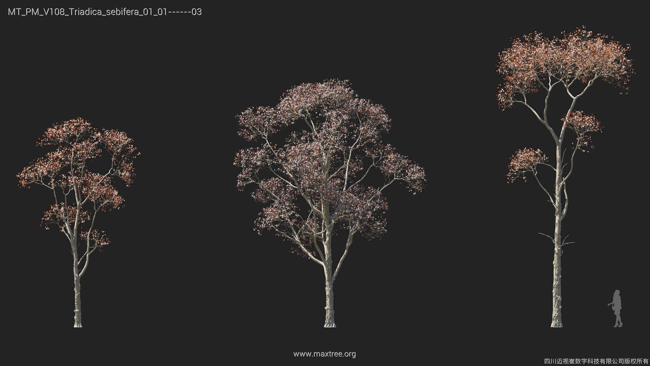 Maxtree Plant Models Vol 108 - Mesh 3D model_6