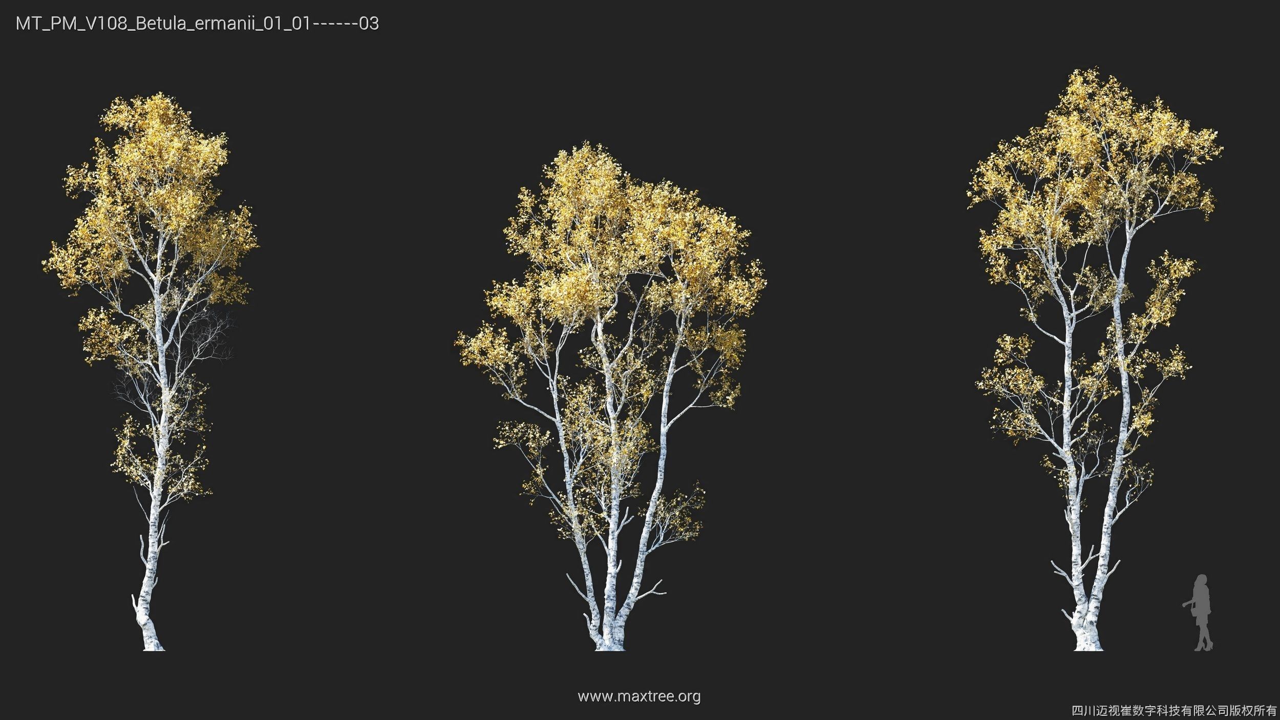 Maxtree Plant Models Vol 108 - Mesh 3D model_16
