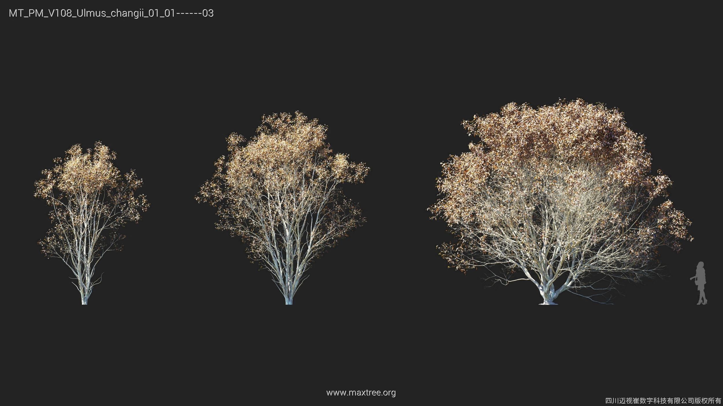 Maxtree Plant Models Vol 108 - Mesh 3D model_21