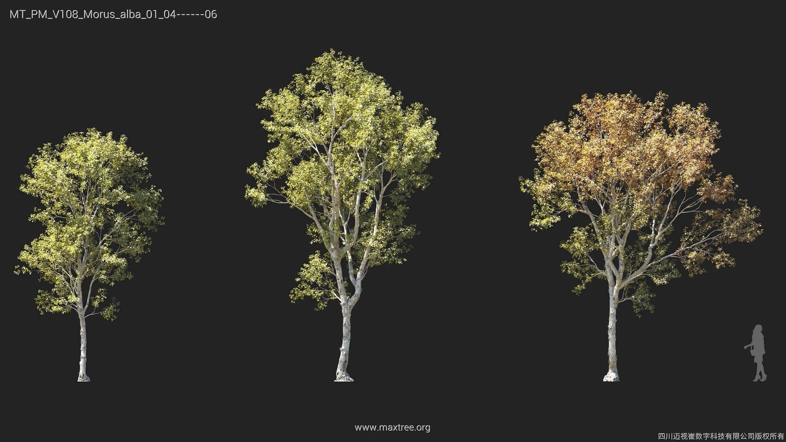 Maxtree Plant Models Vol 108 - Mesh 3D model_18