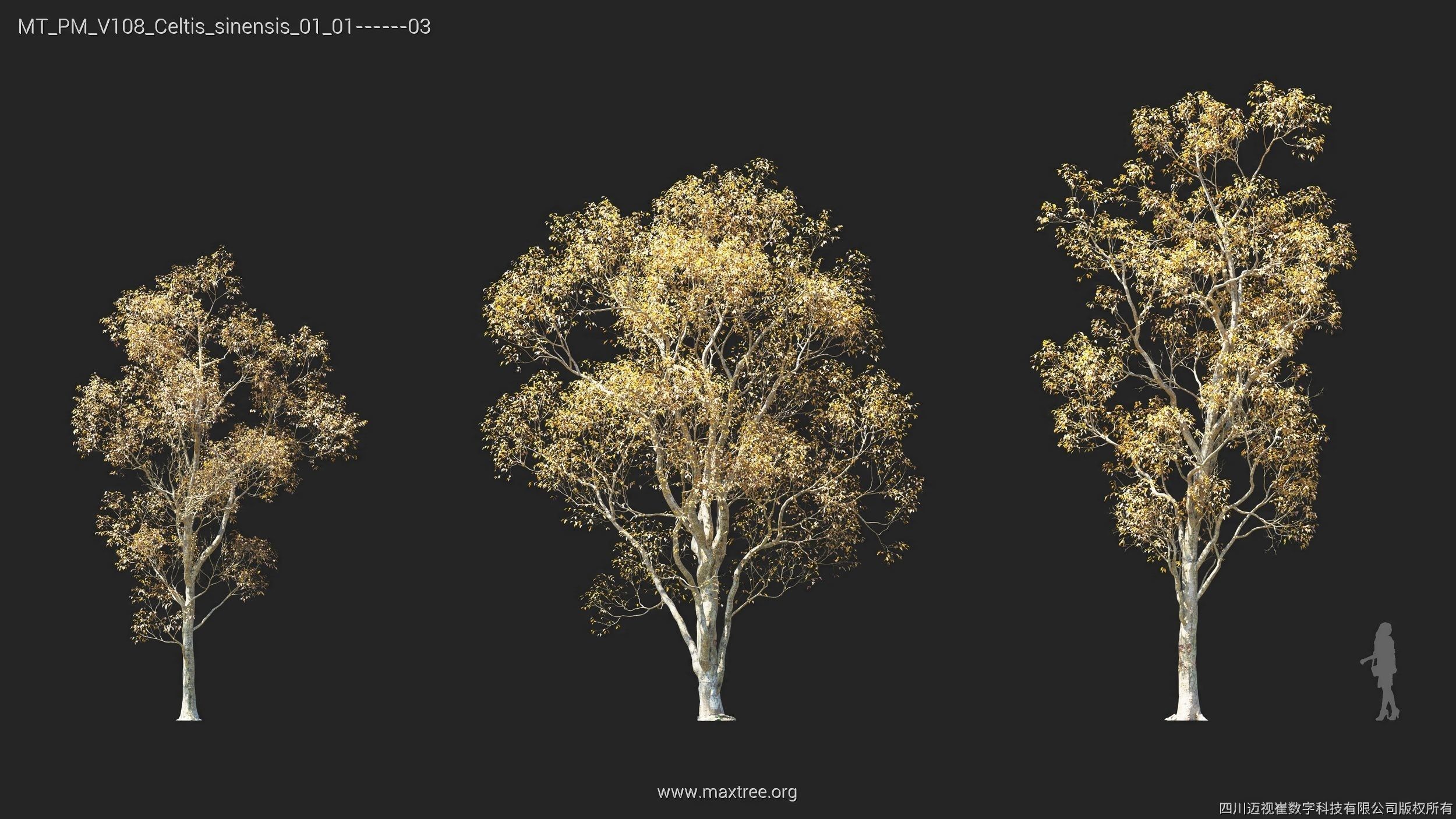 Maxtree Plant Models Vol 108 - Mesh 3D model_26