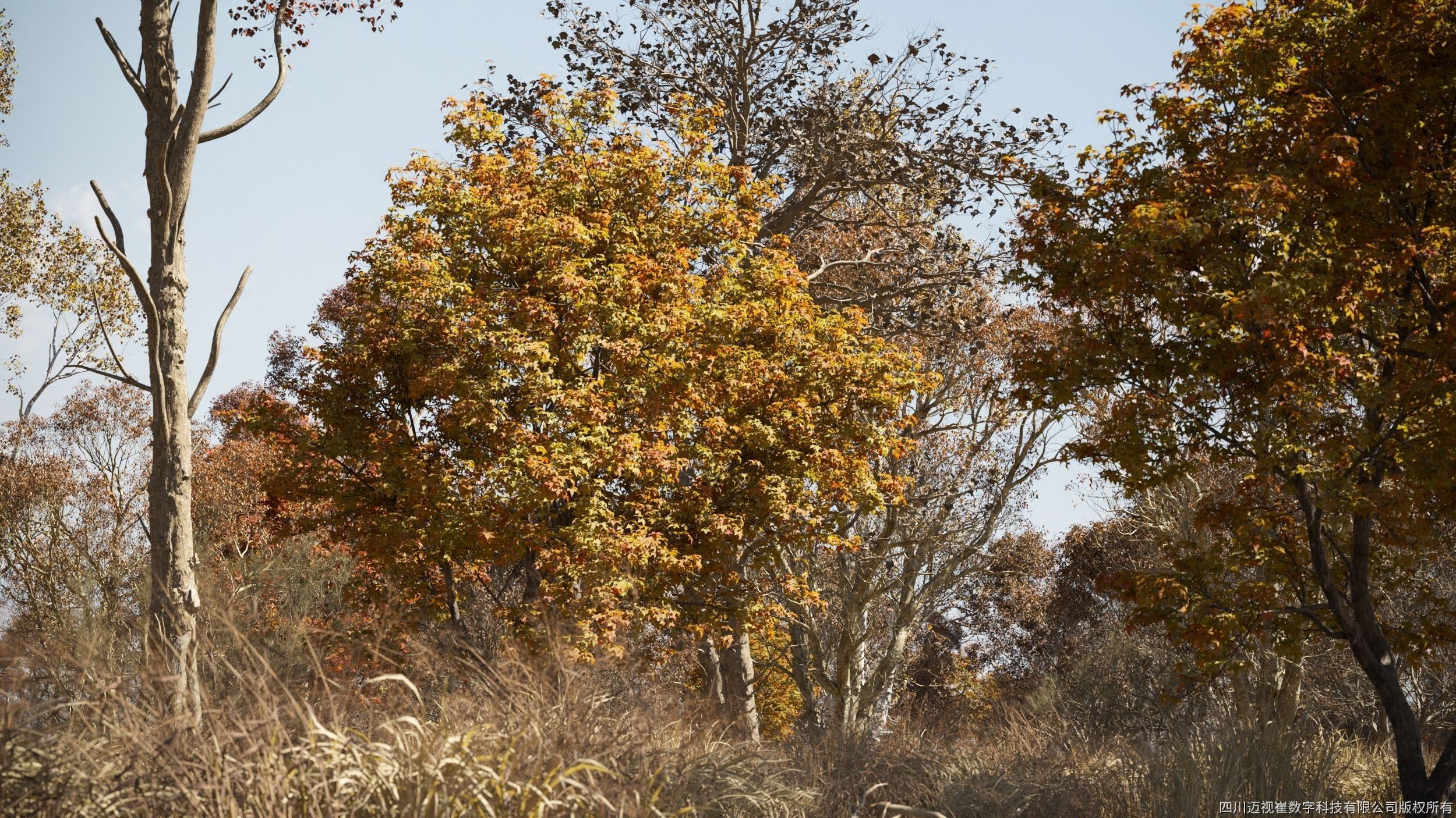 Maxtree Plant Models Vol 108 - Mesh 3D model_3