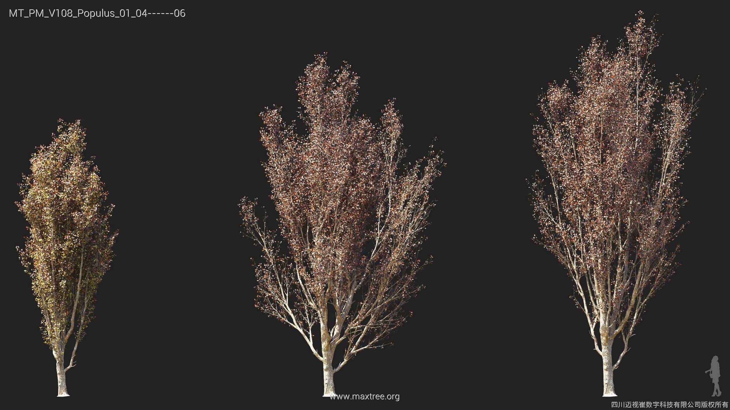 Maxtree Plant Models Vol 108 - Mesh 3D model_32