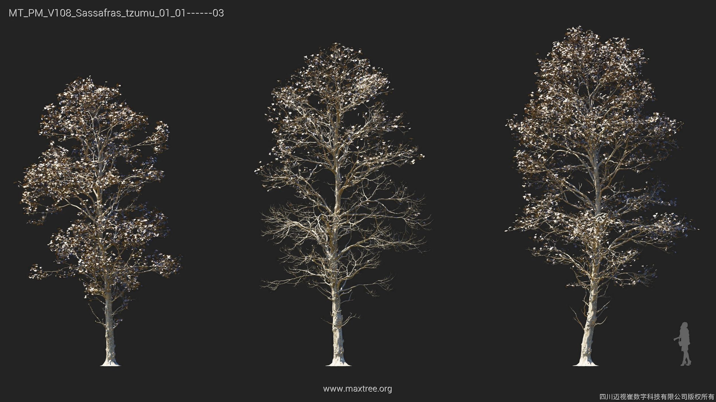 Maxtree Plant Models Vol 108 - Mesh 3D model_23