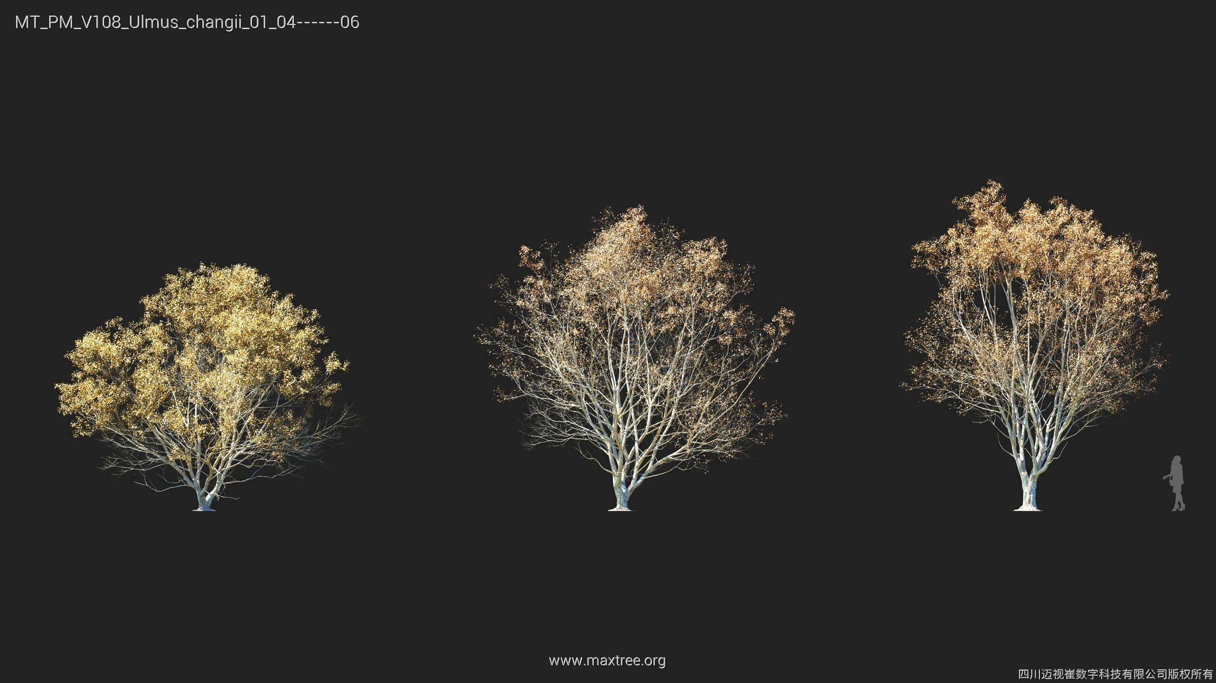 Maxtree Plant Models Vol 108 - Mesh 3D model_10
