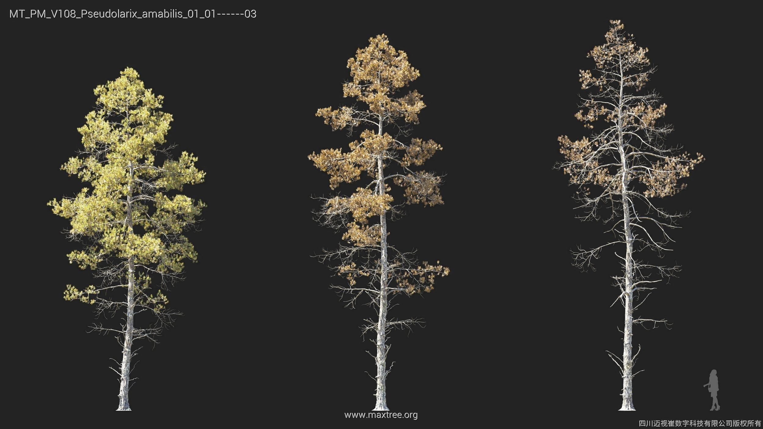 Maxtree Plant Models Vol 108 - Mesh 3D model_11