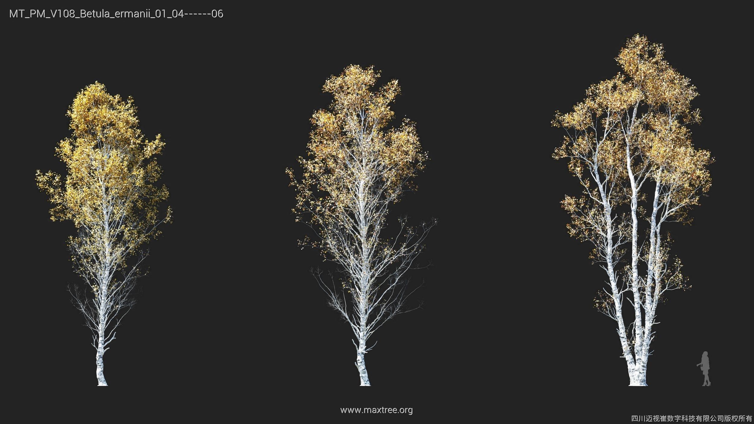 Maxtree Plant Models Vol 108 - Mesh 3D model_19