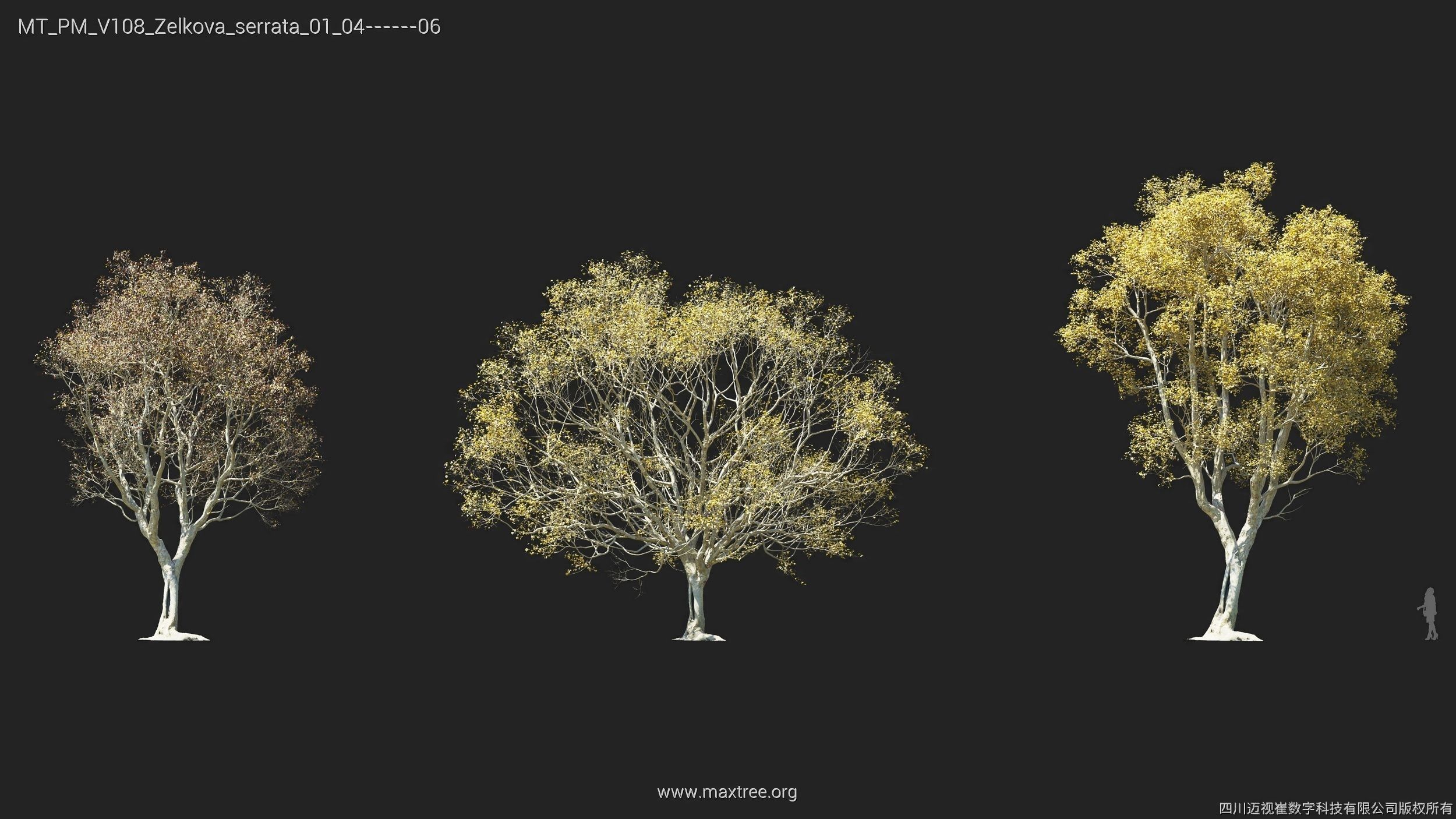 Maxtree Plant Models Vol 108 - Mesh 3D model_17