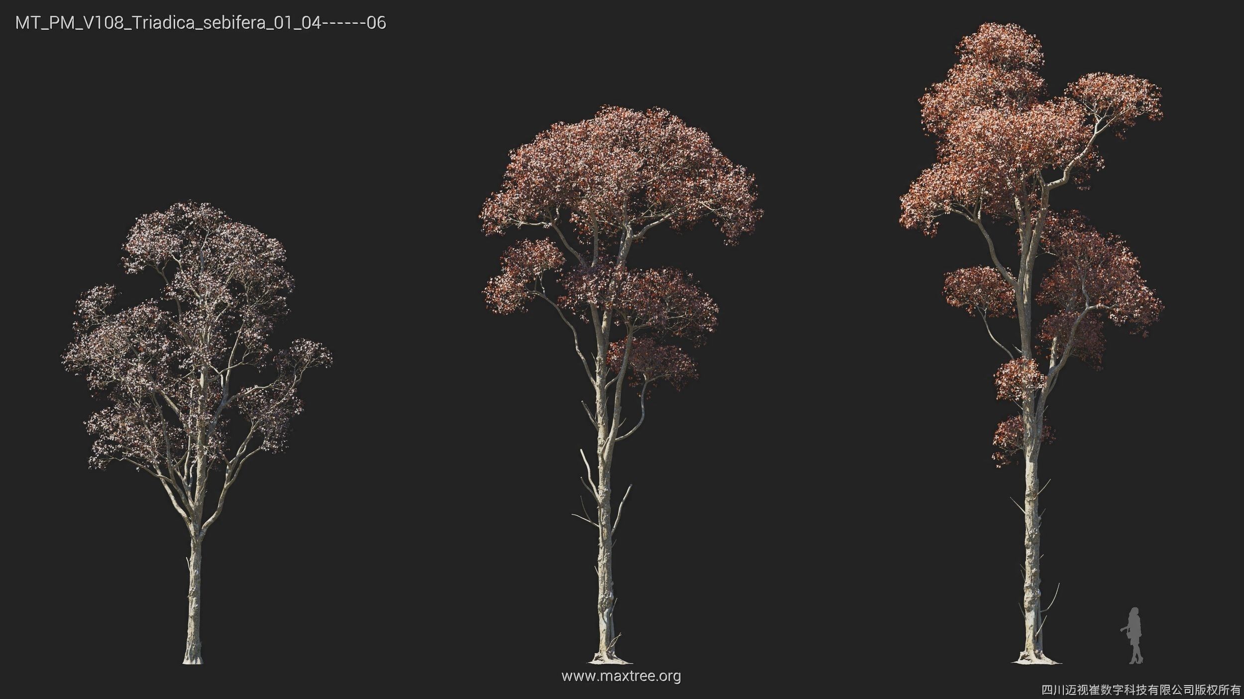Maxtree Plant Models Vol 108 - Mesh 3D model_7