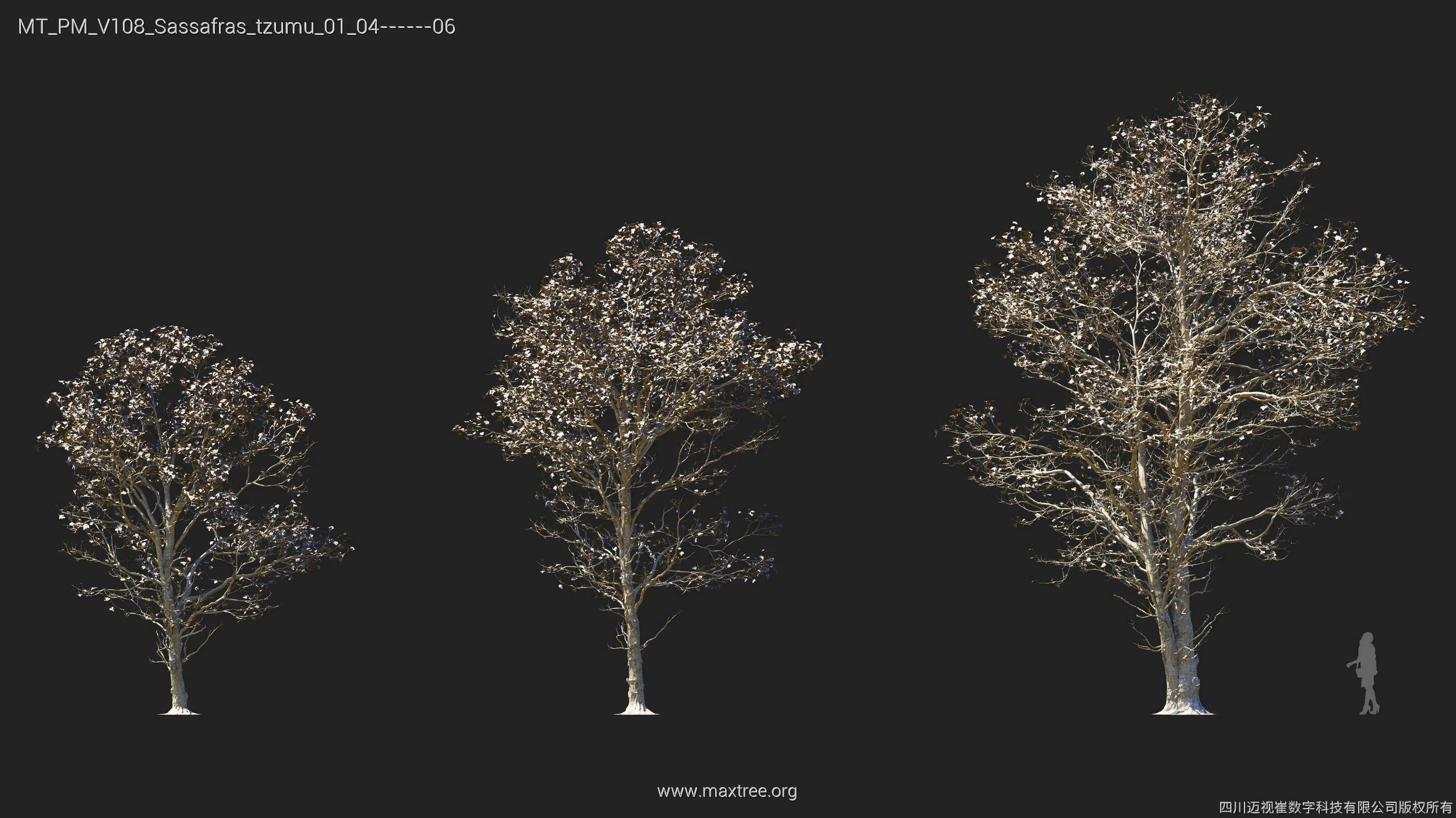 Maxtree Plant Models Vol 108 - Mesh 3D model_37