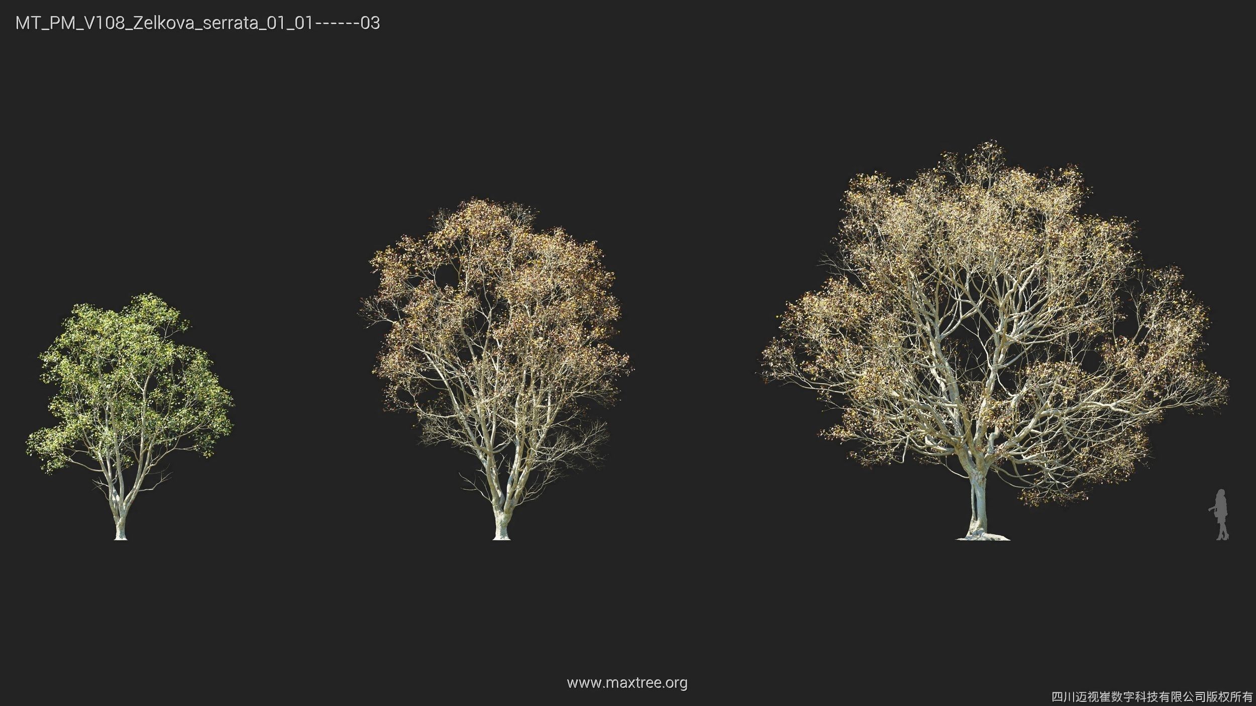 Maxtree Plant Models Vol 108 - Mesh 3D model_12