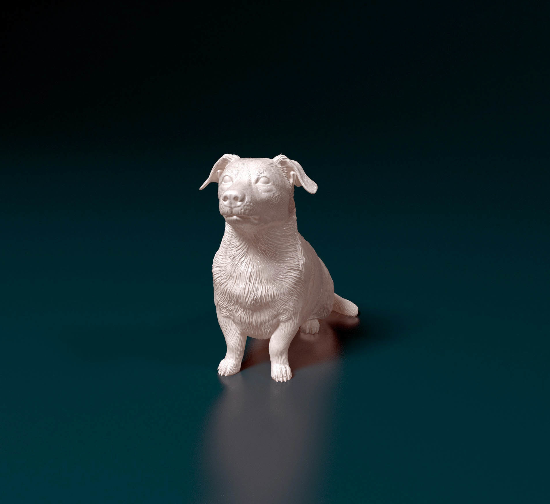 Corgi cross dog 3D print model_5