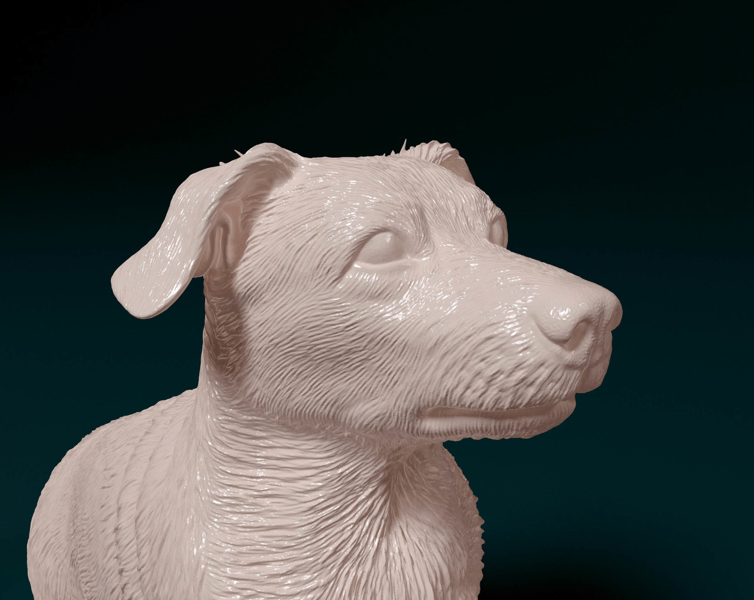 Corgi cross dog 3D print model_6