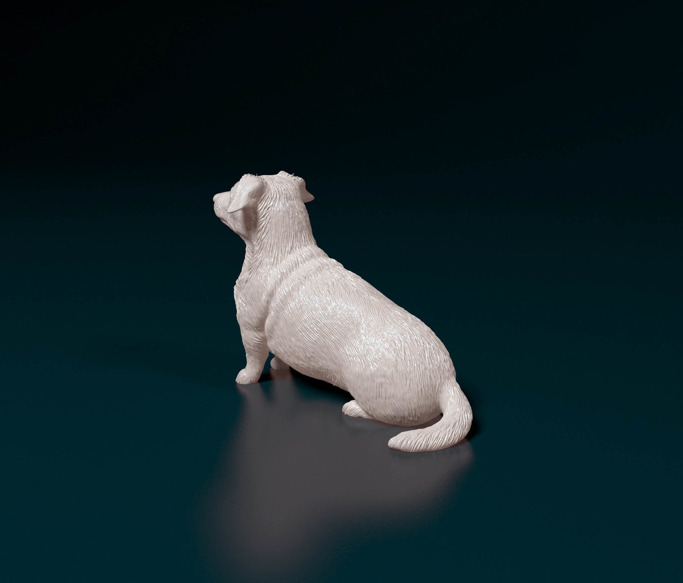 Corgi cross dog 3D print model_4