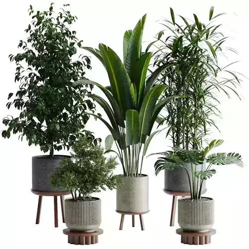 Plant set 02 3D model
