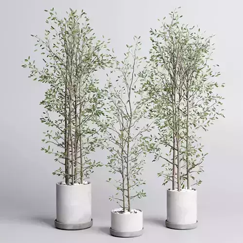 indoor plant set 379 plant tree branch bush concrete dirt vase