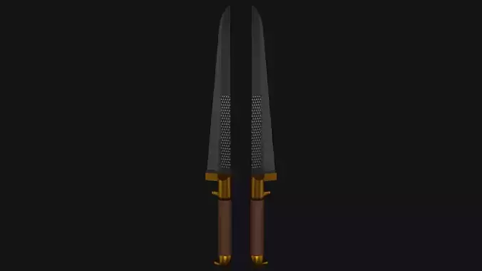 Assassin sword
