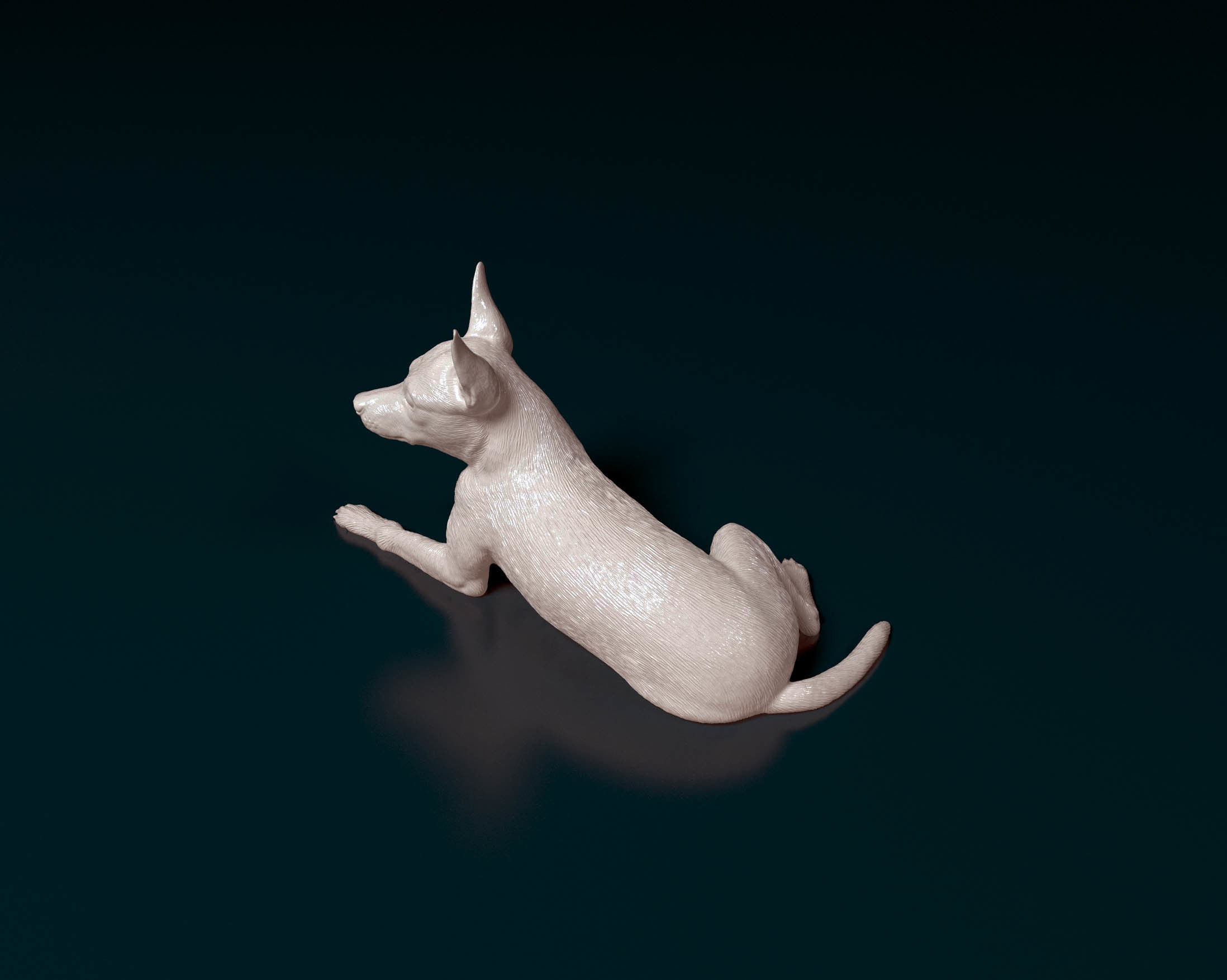 Miniature Pinscher 3D print model_4