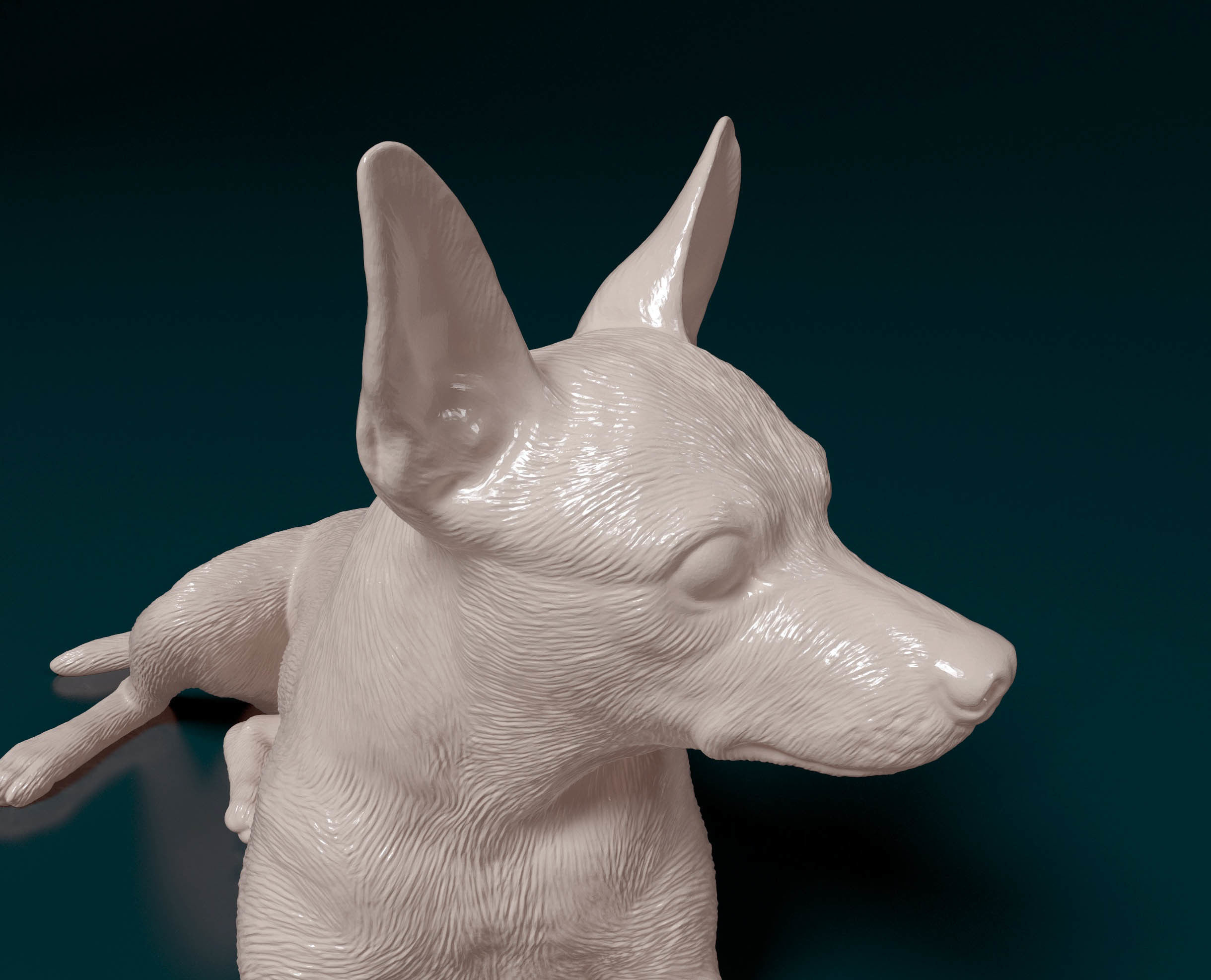 Miniature Pinscher 3D print model_5