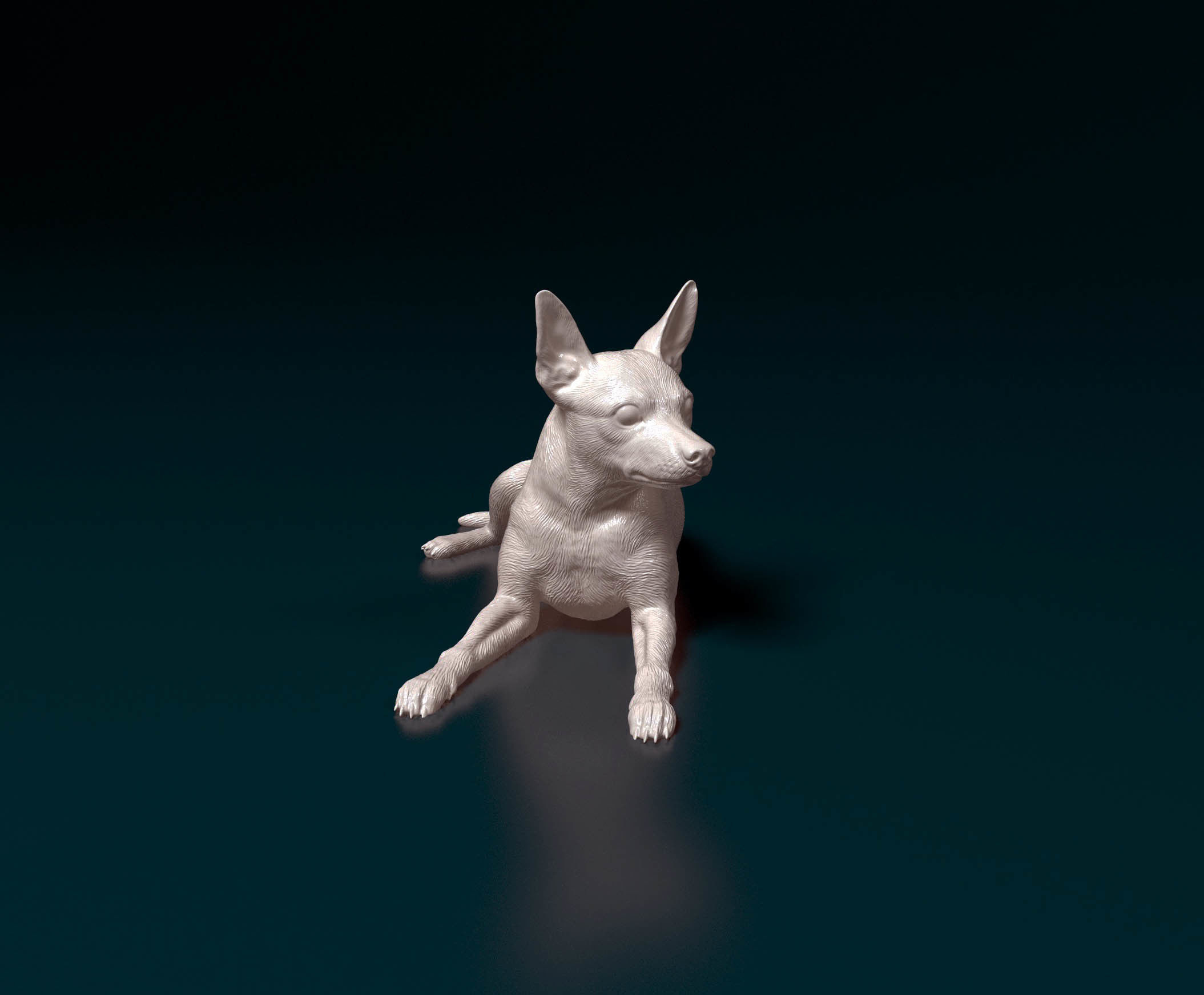 Miniature Pinscher 3D print model_2