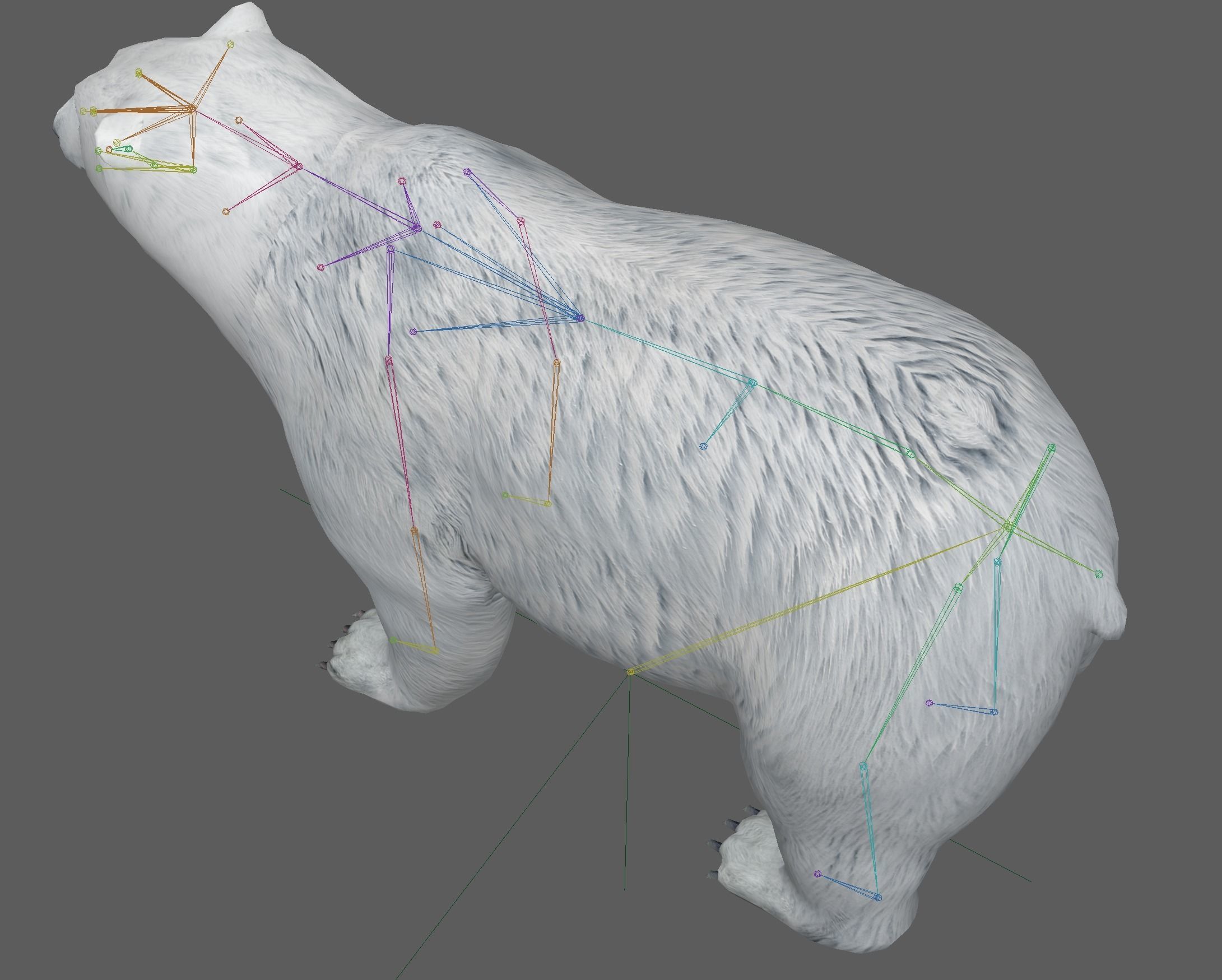 Polar Bear 3D model_20