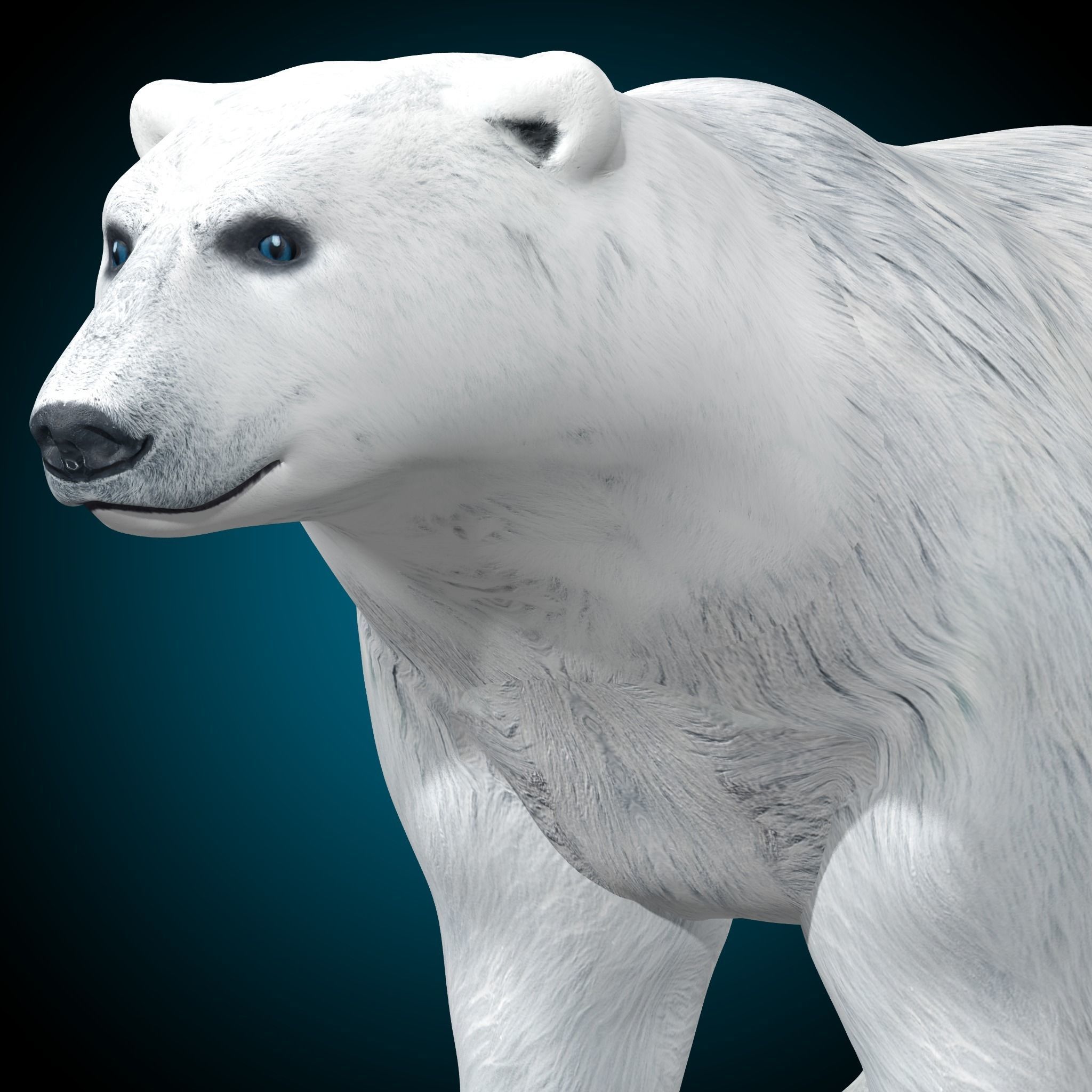 Polar Bear 3D model_3