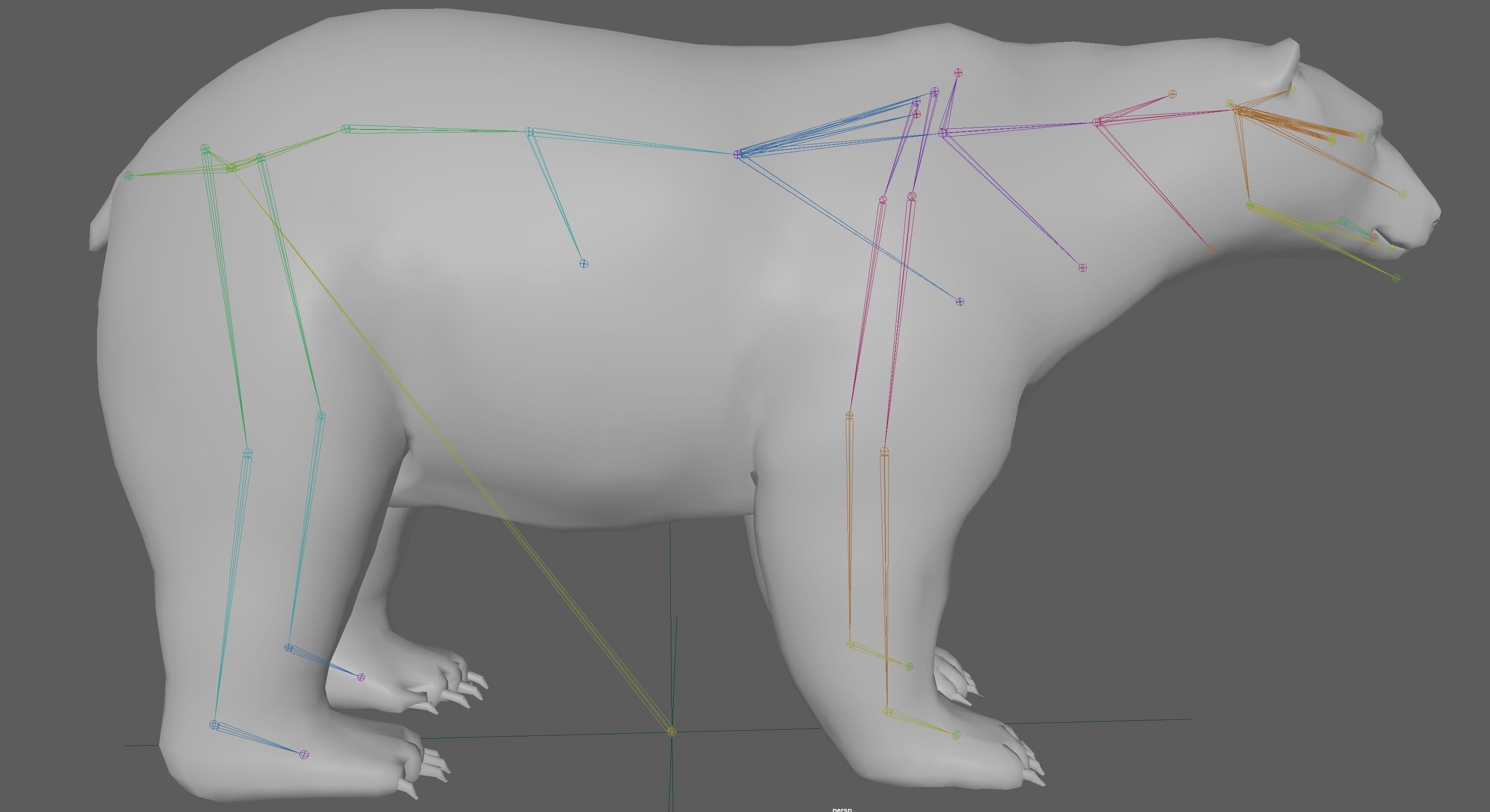 Polar Bear 3D model_18