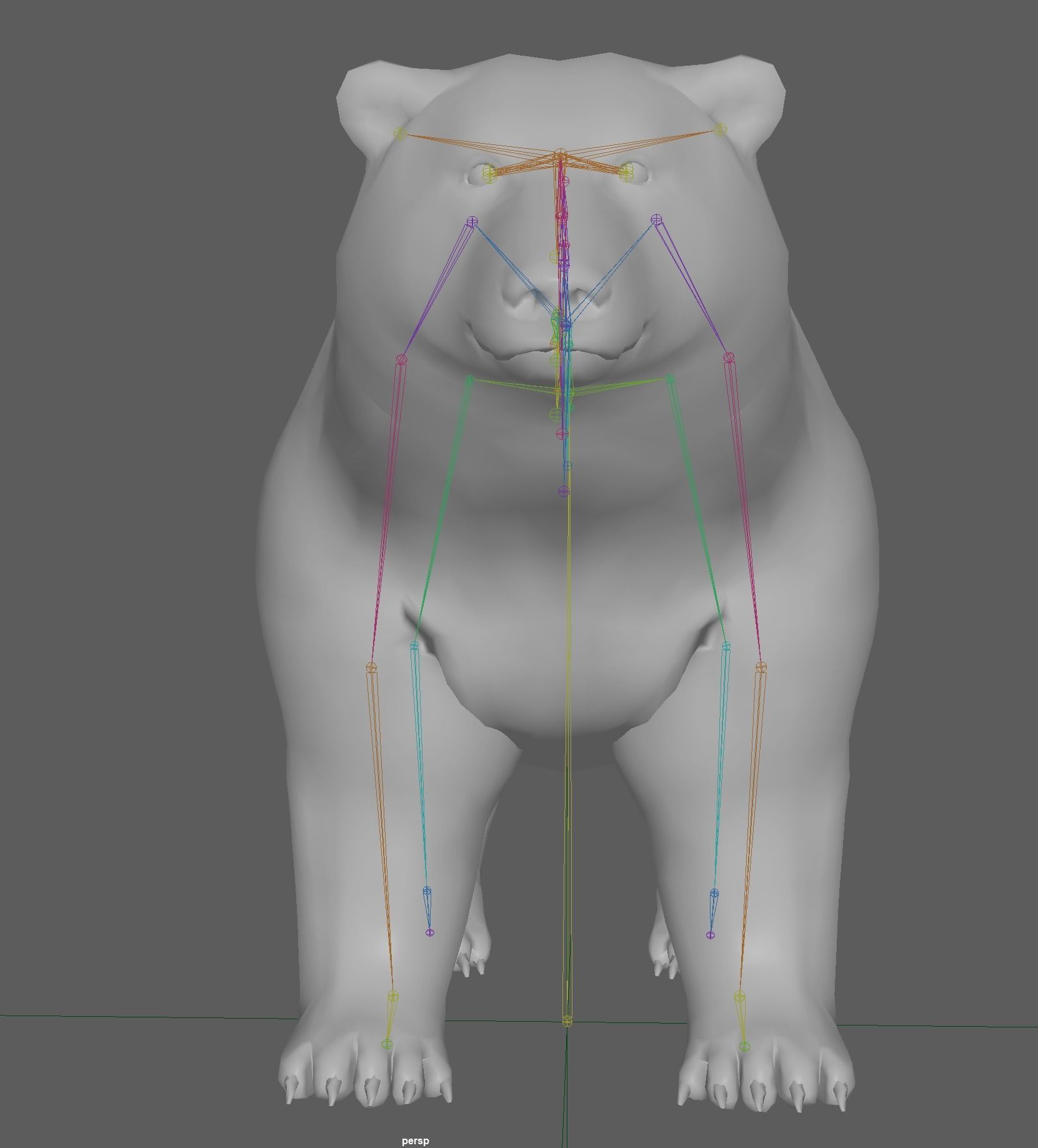 Polar Bear 3D model_15