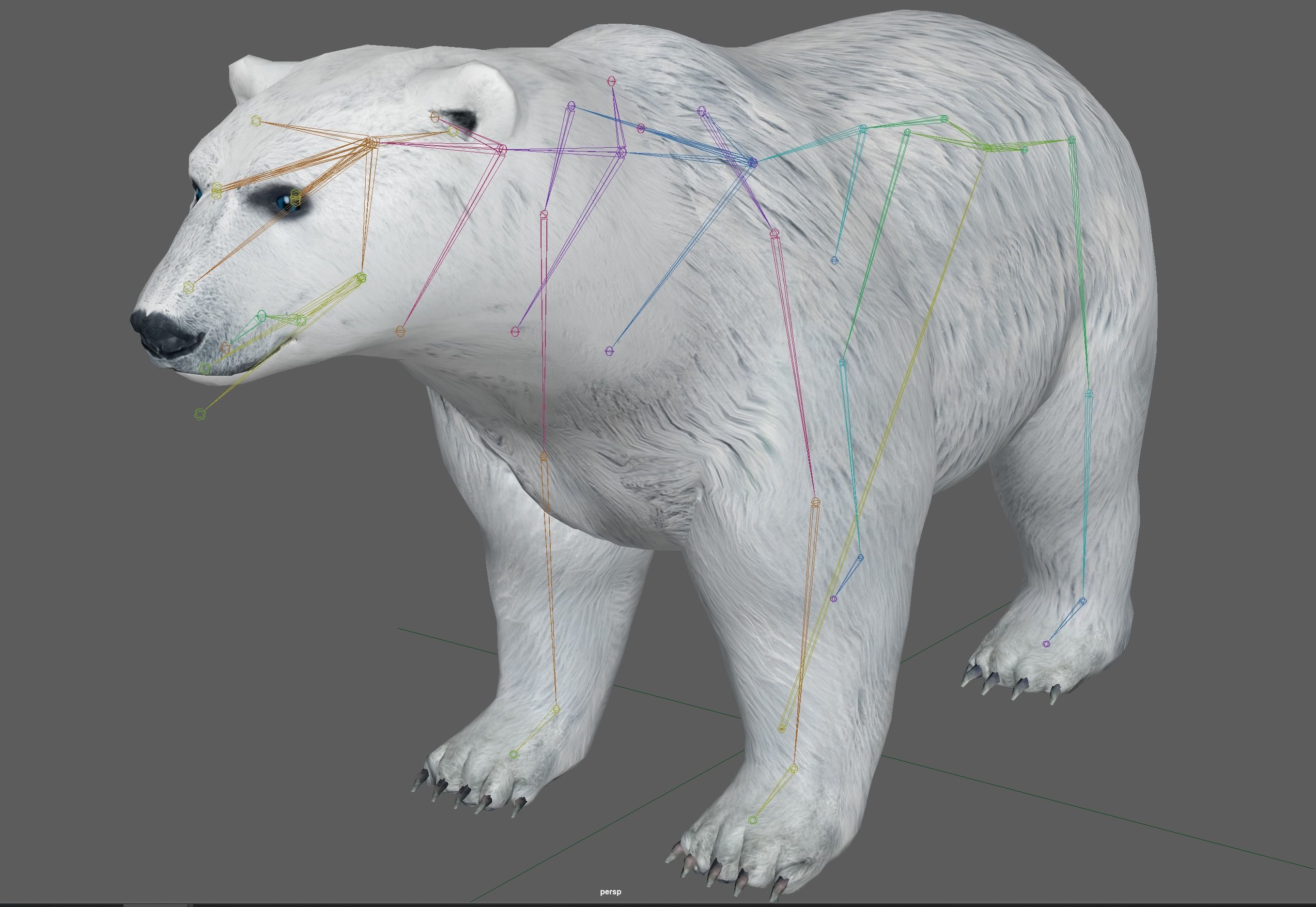 Polar Bear 3D model_7