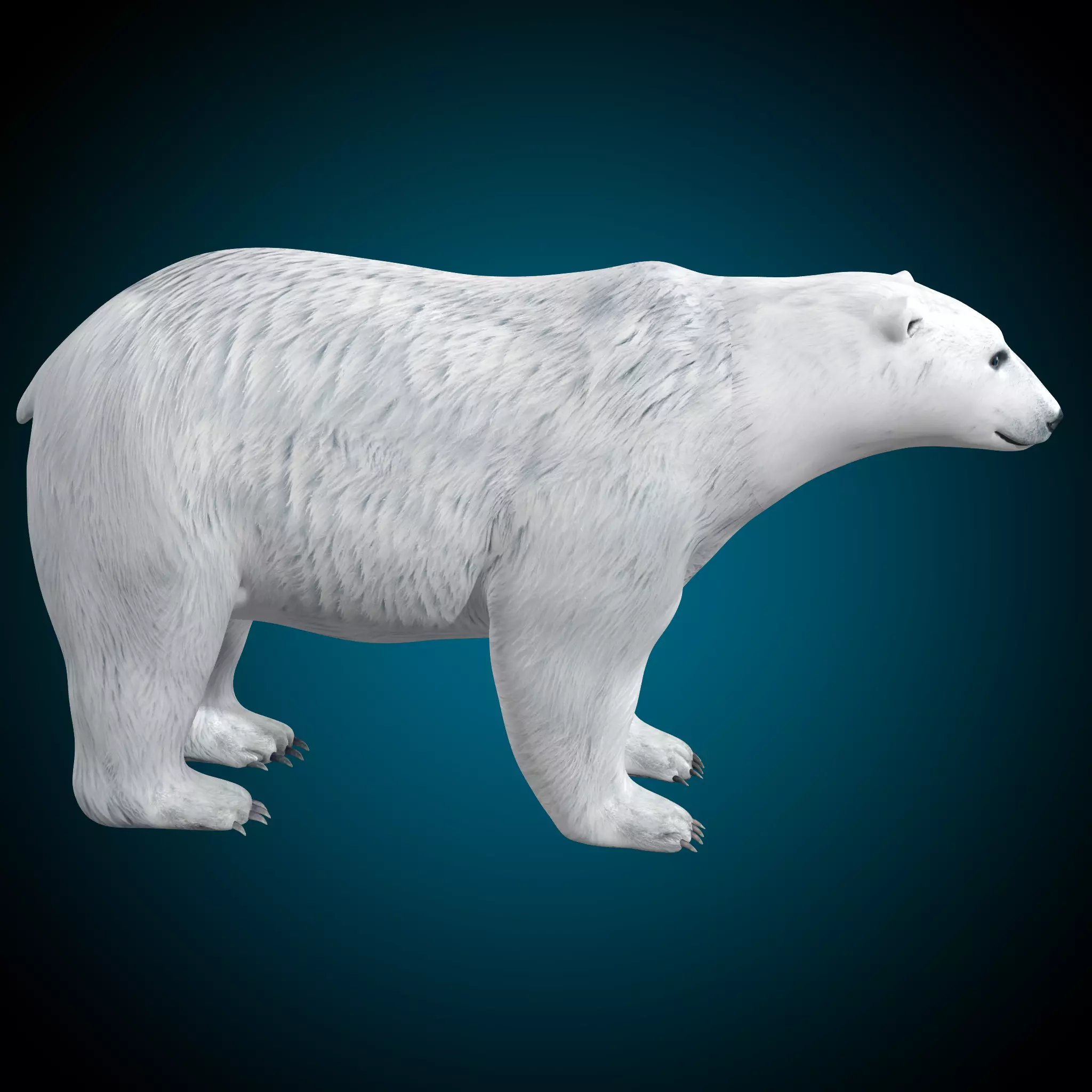Polar Bear 3D model_0