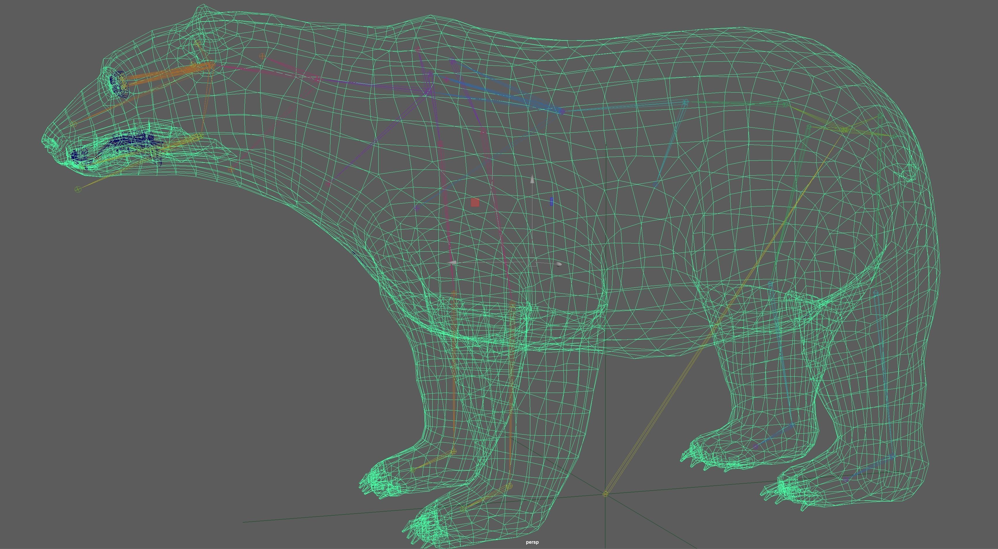 Polar Bear 3D model_14