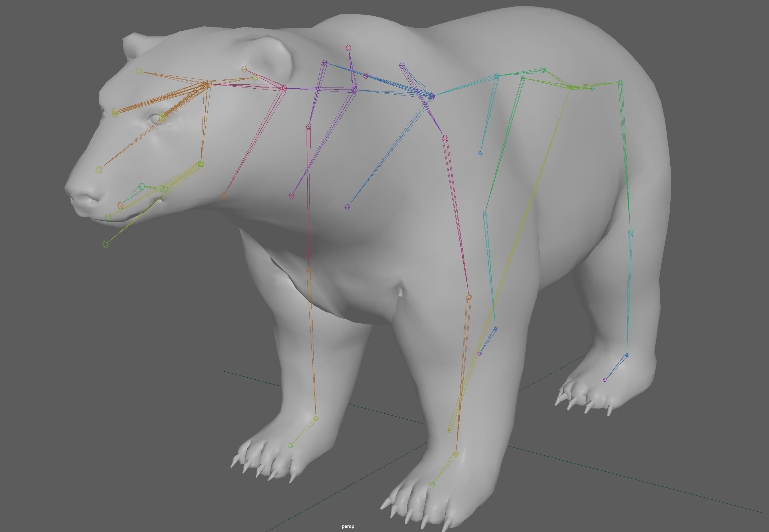 Polar Bear 3D model_8
