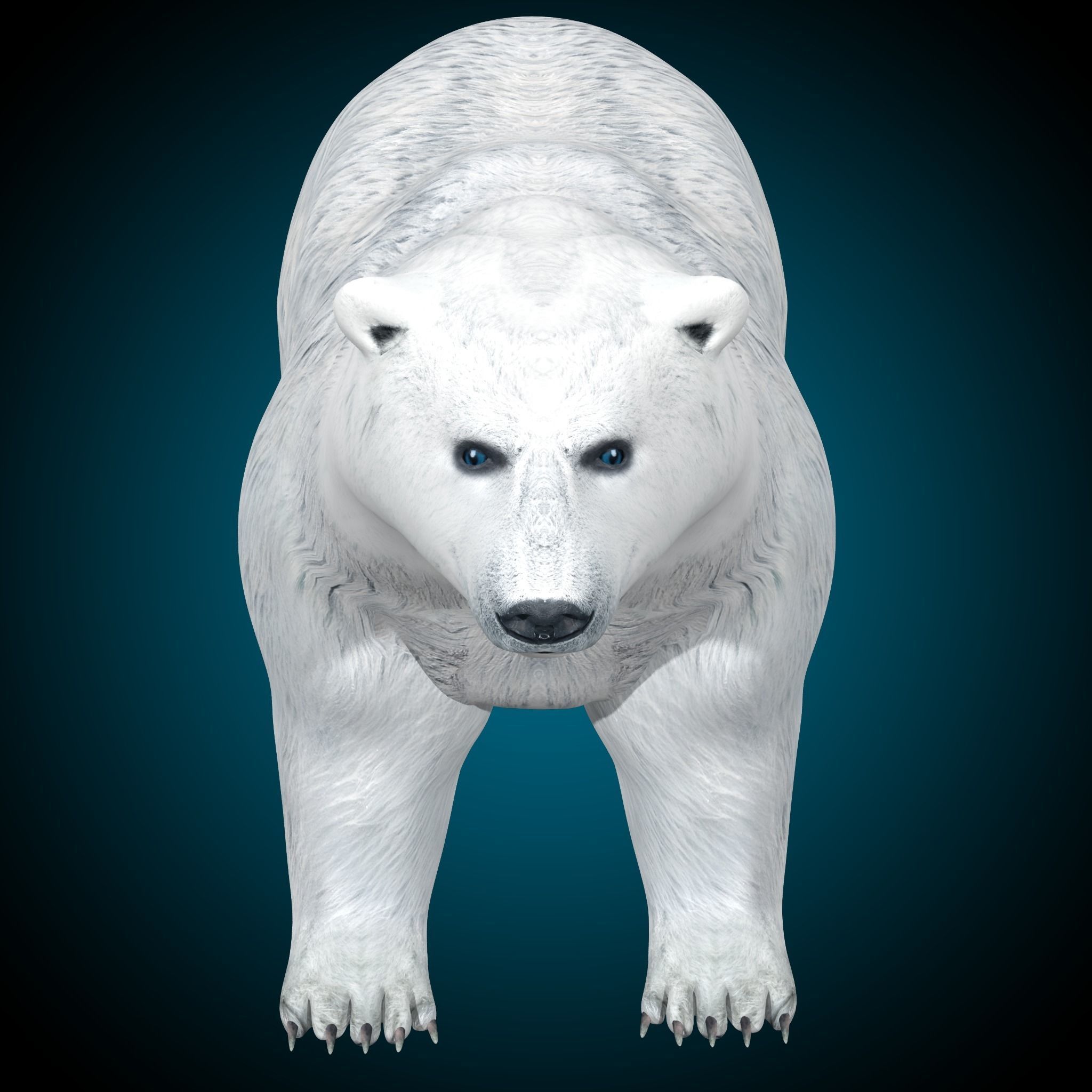Polar Bear 3D model_6