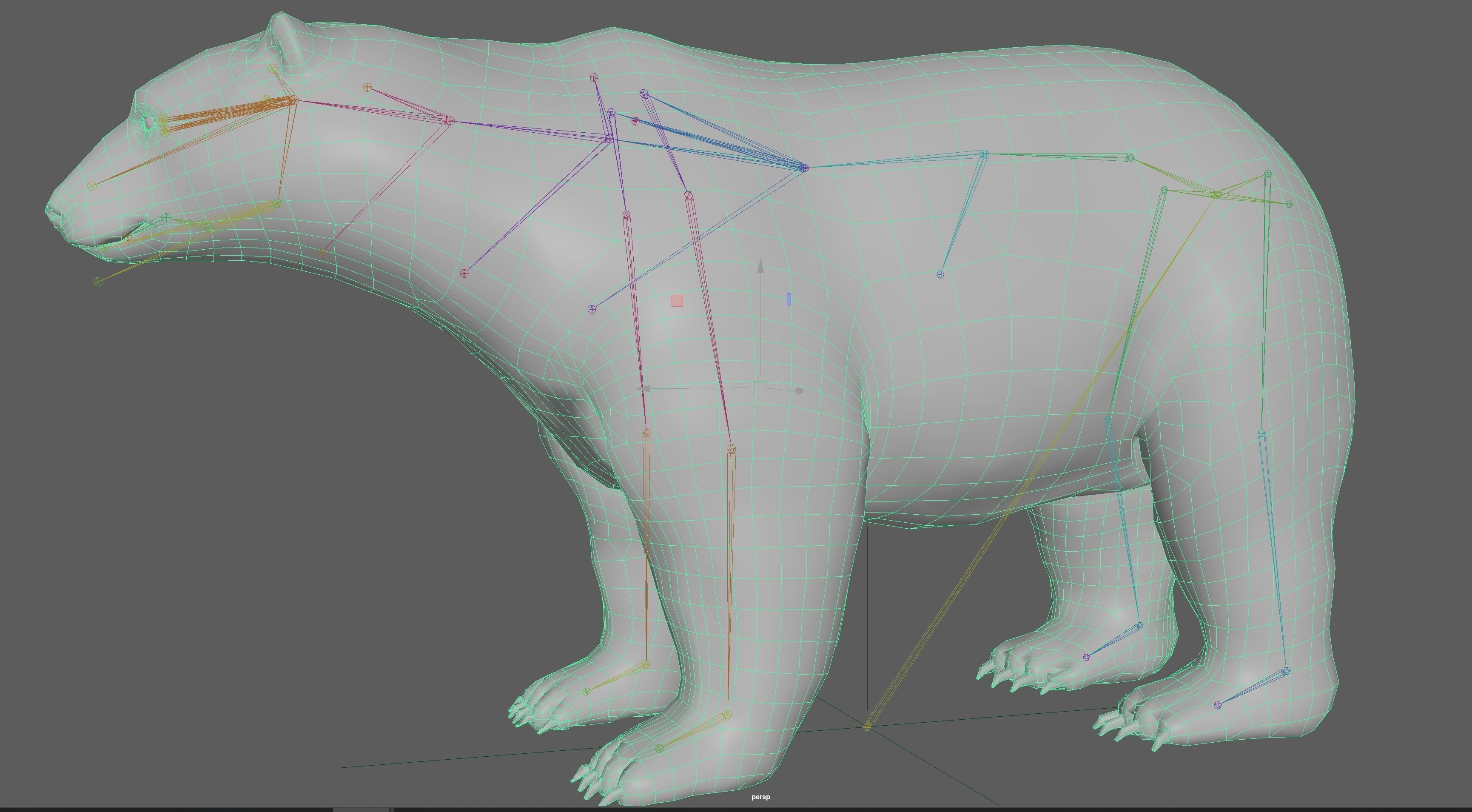 Polar Bear 3D model_13