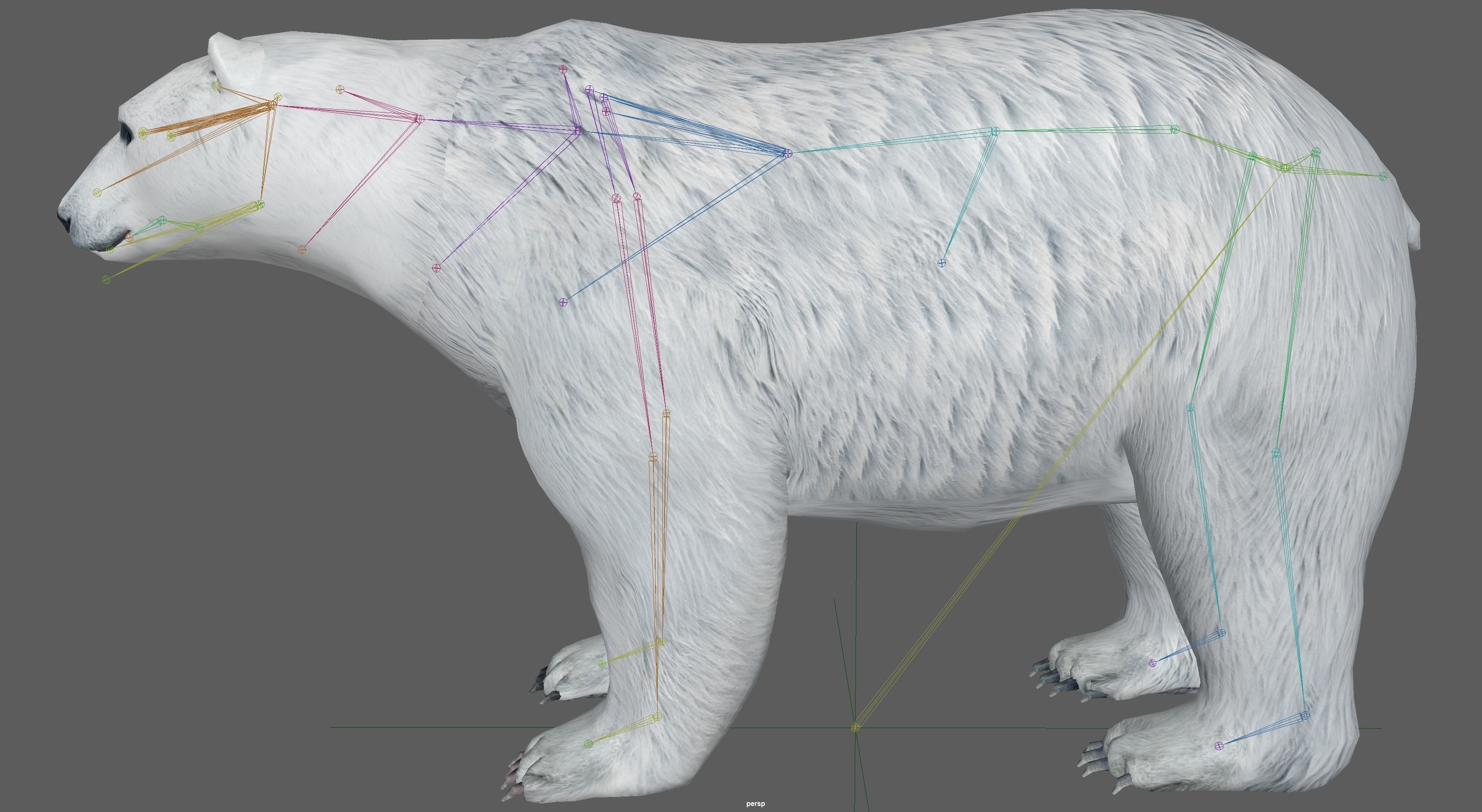 Polar Bear 3D model_21