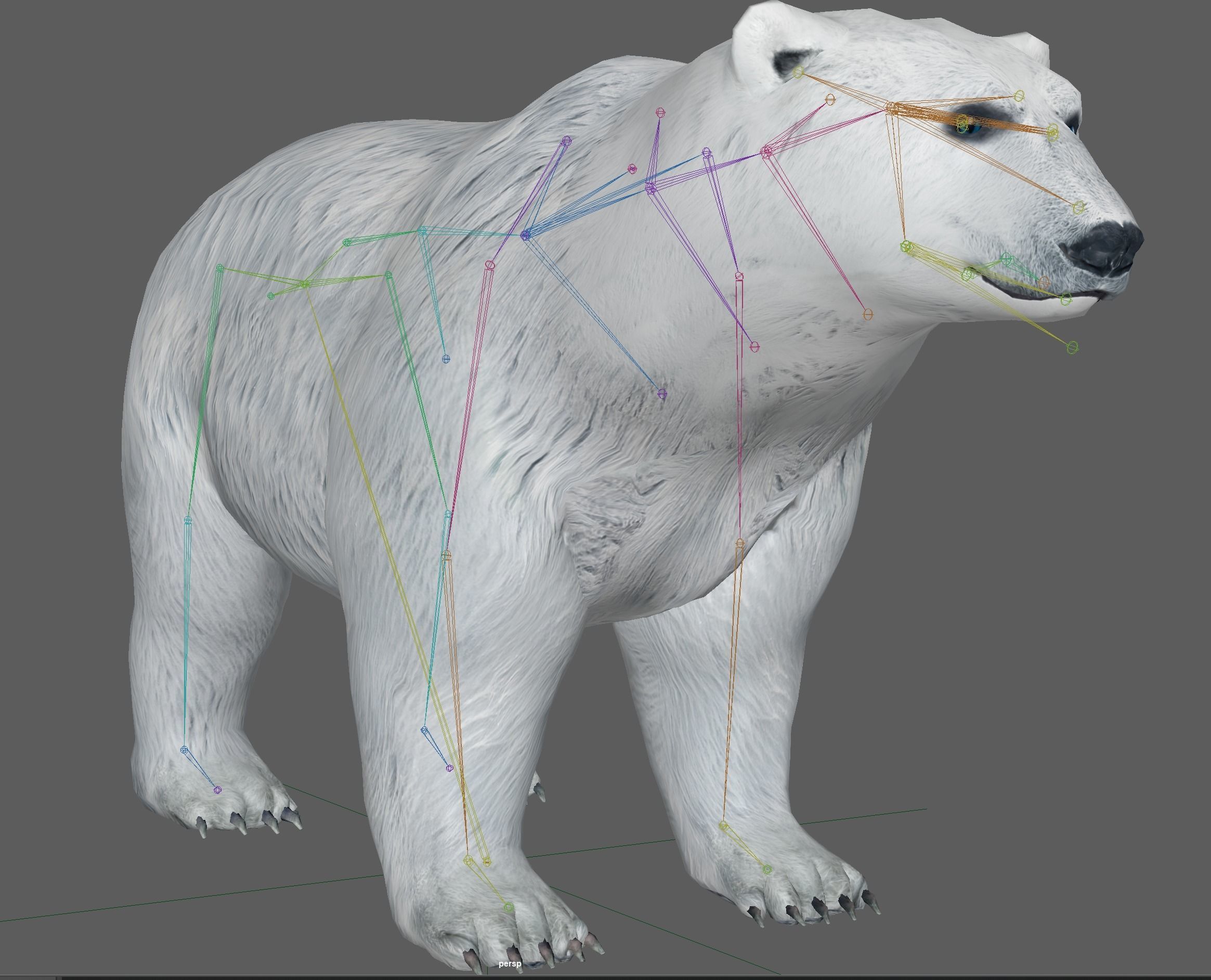 Polar Bear 3D model_17