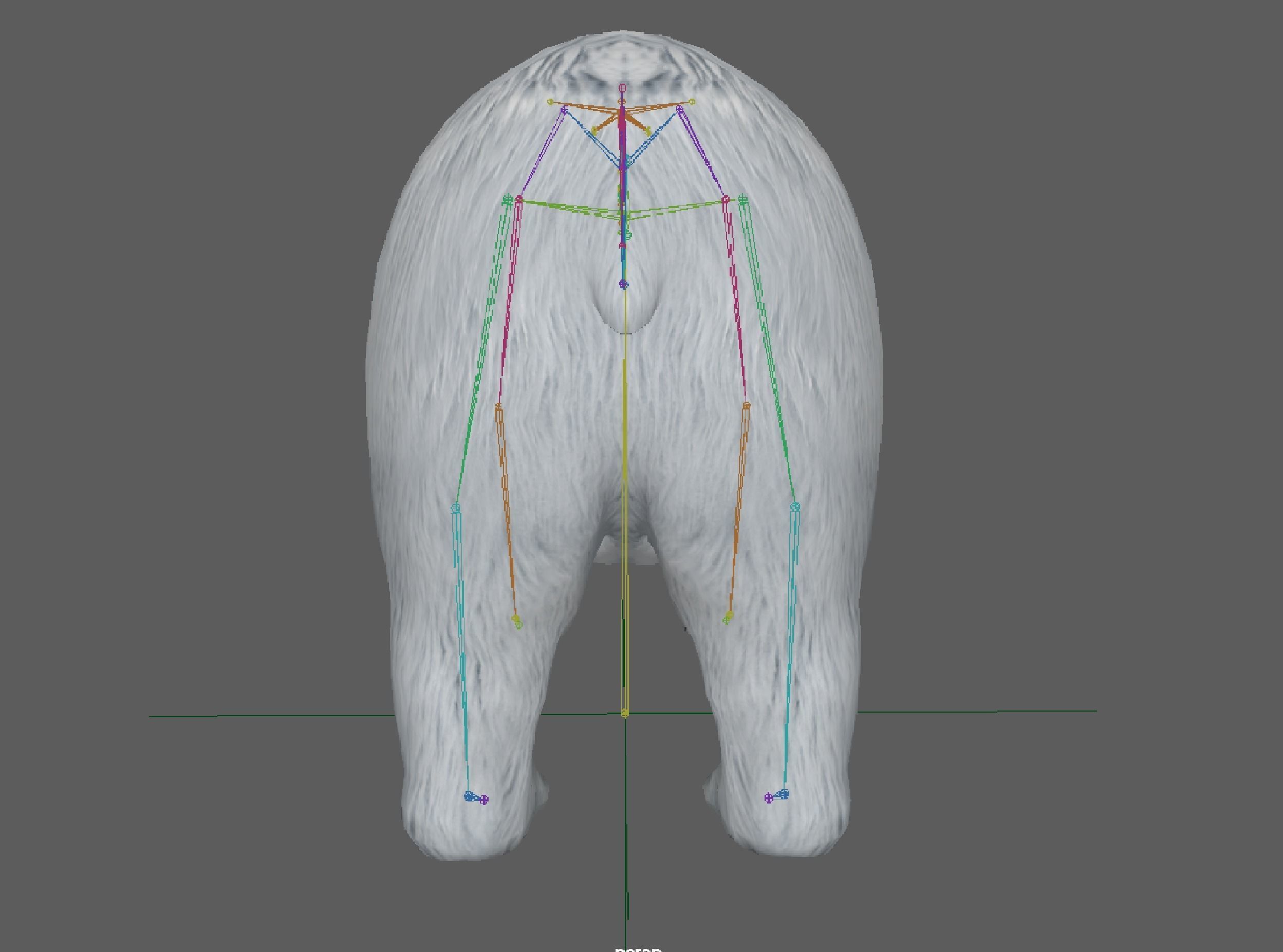 Polar Bear 3D model_11