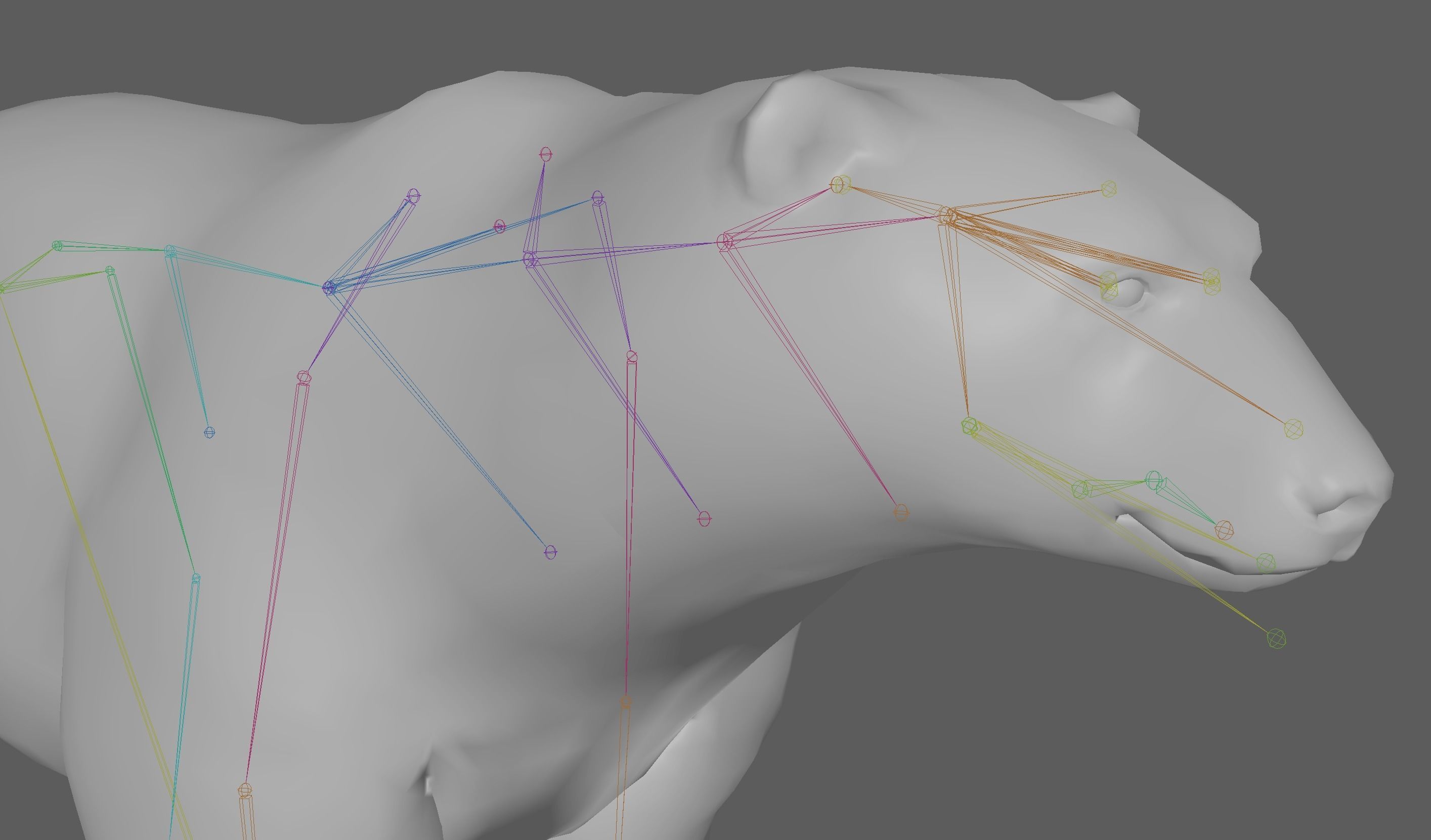 Polar Bear 3D model_12