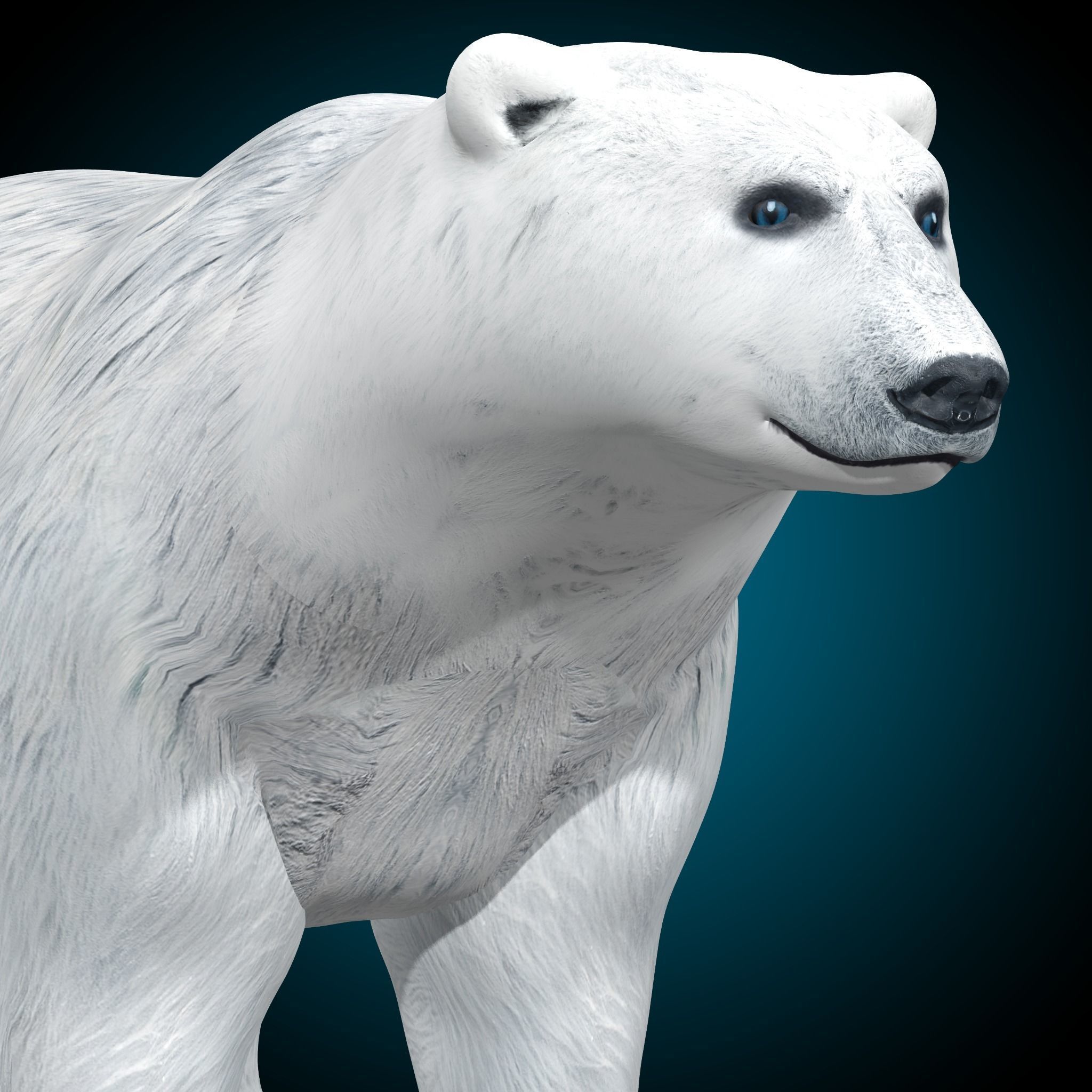 Polar Bear 3D model_1