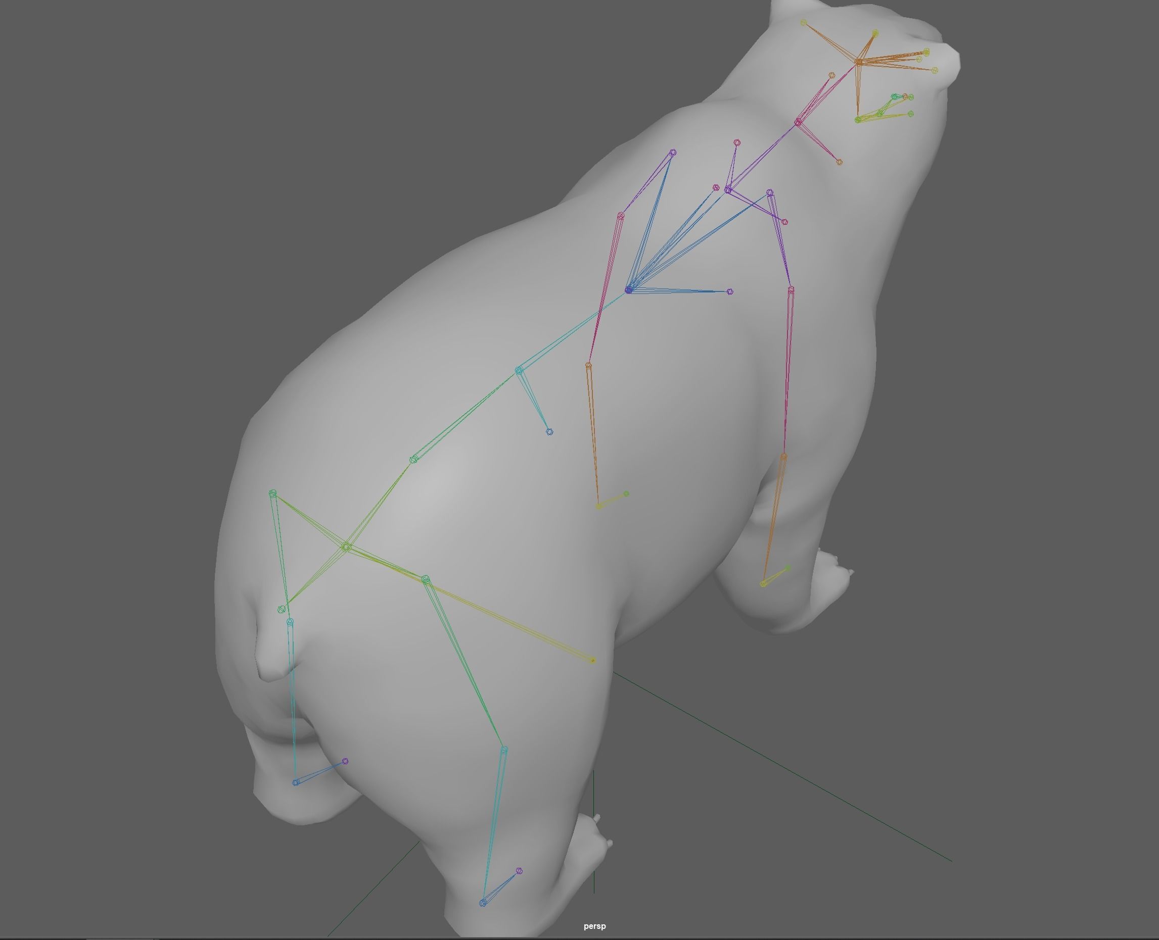 Polar Bear 3D model_19