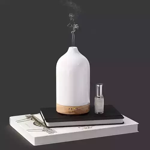 Decor Diffuser with books Set 17